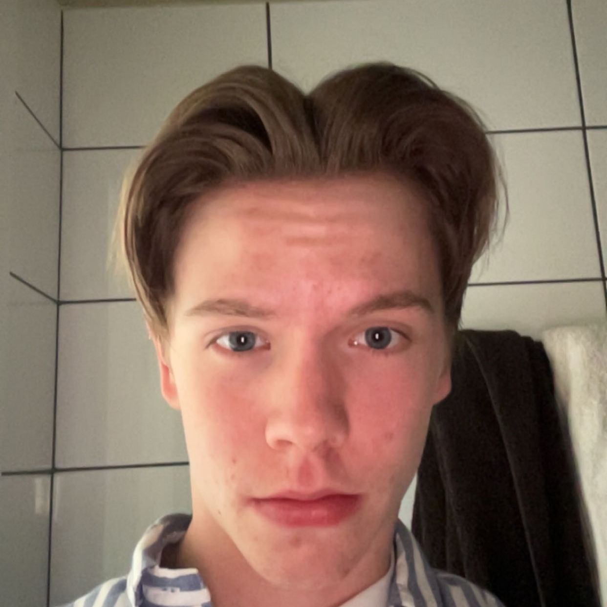Profilbild för Wiggo Schönfeldt
