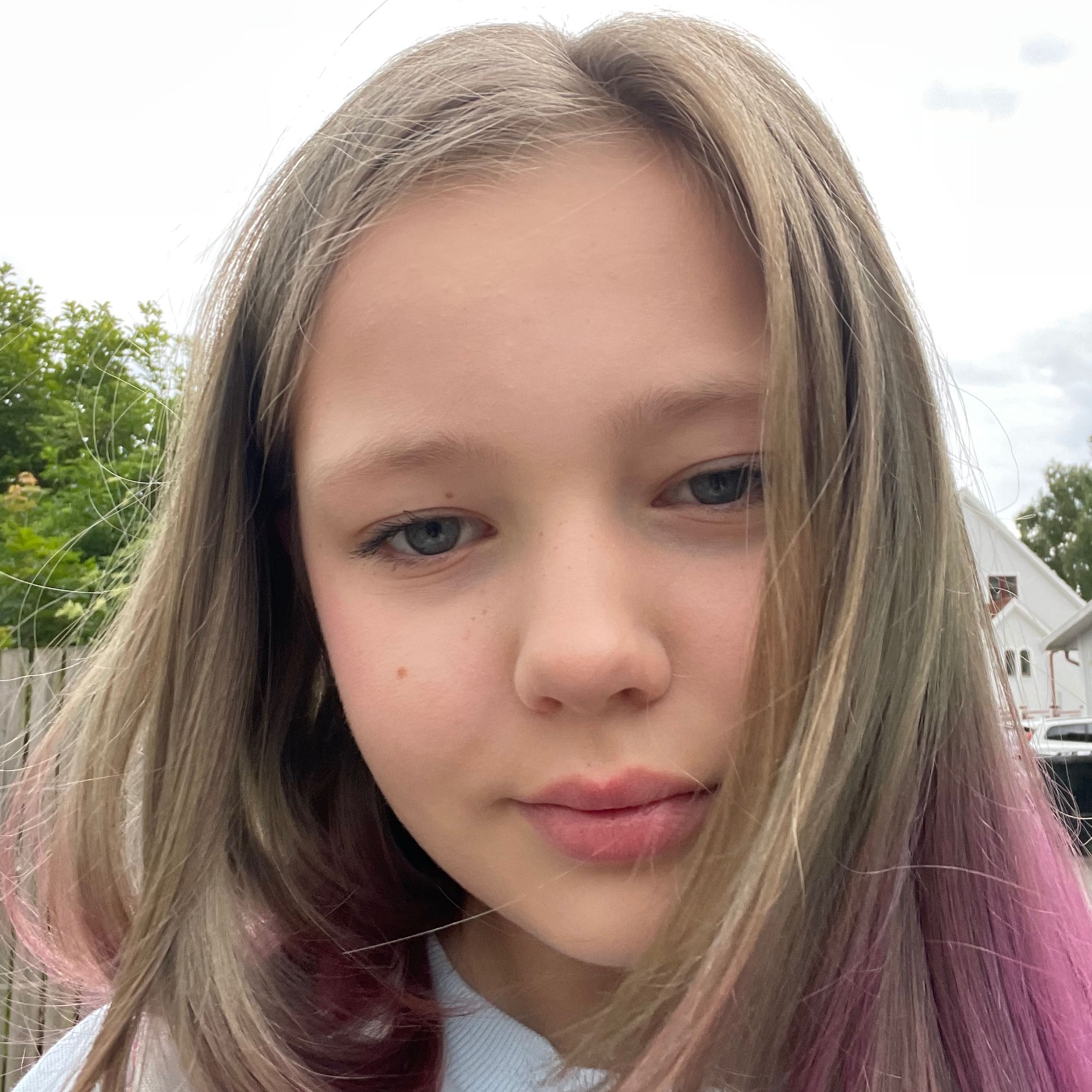Profilbild för Lo Stenbeck