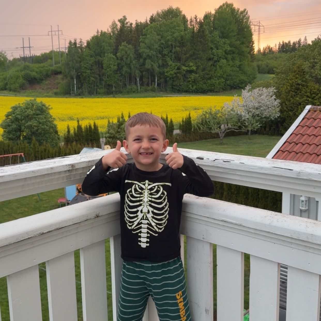 Profilbild för Milan Mladenovic