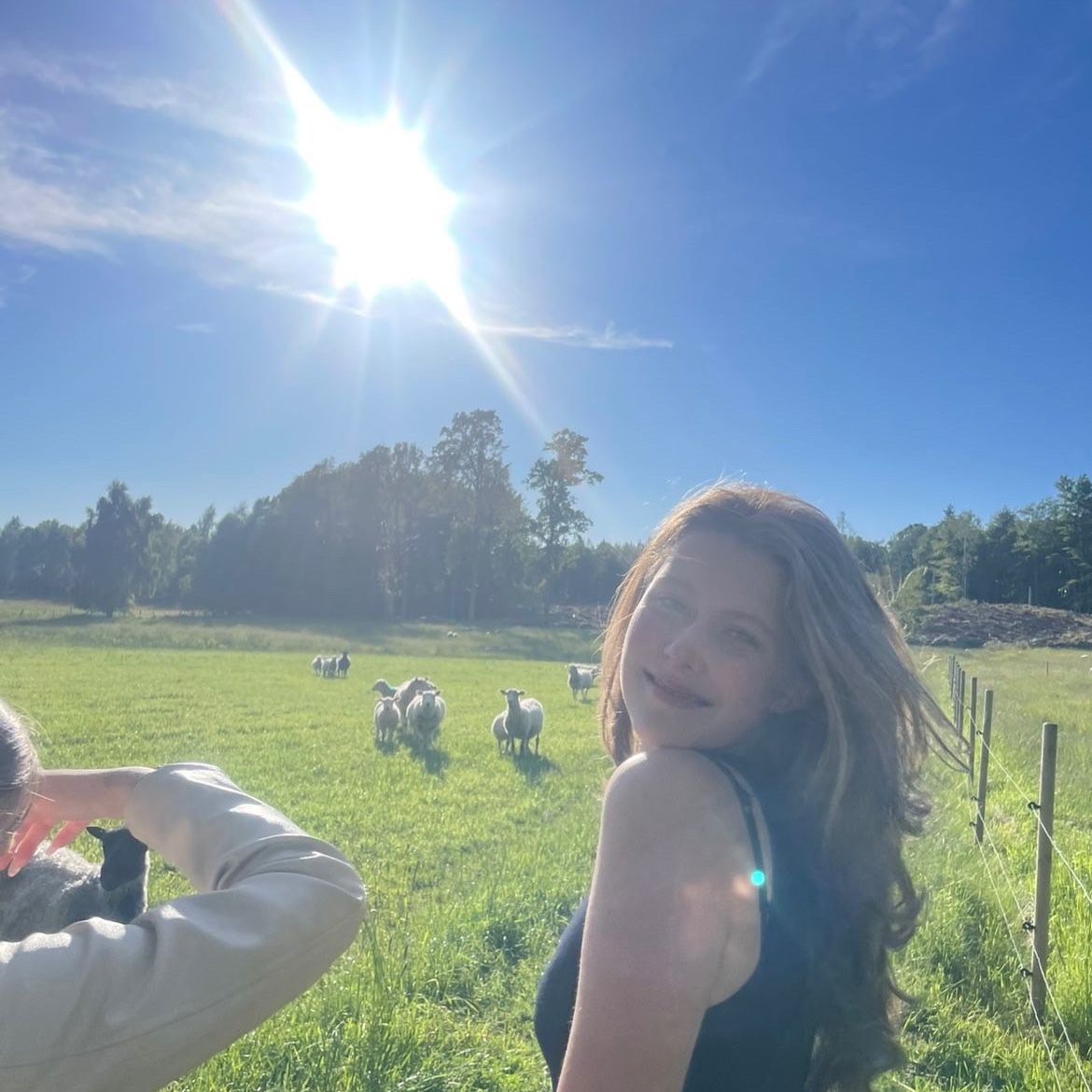 Profilbild för Arazzeria Hammarstedt