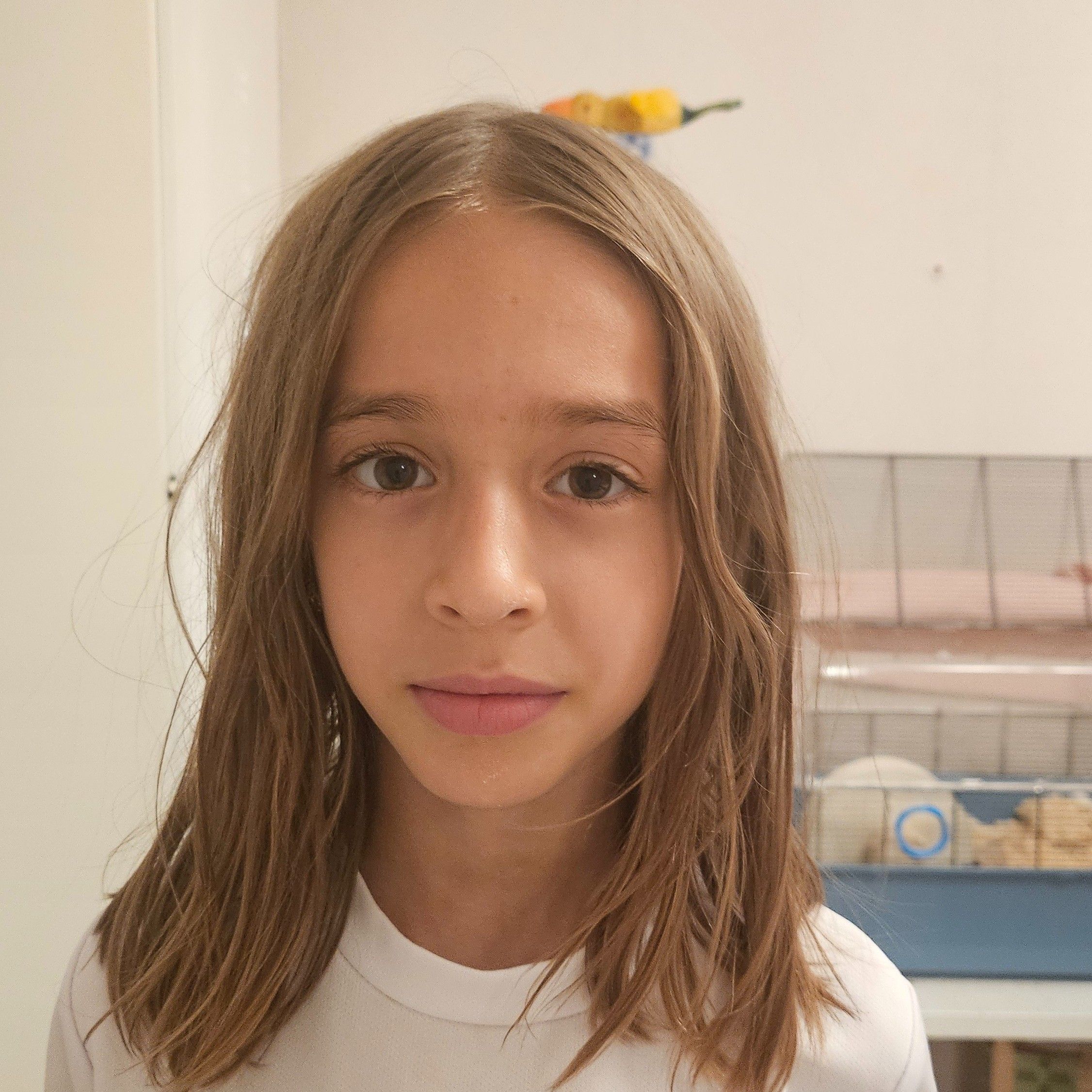 Profilbild för Gabriella Stancheva