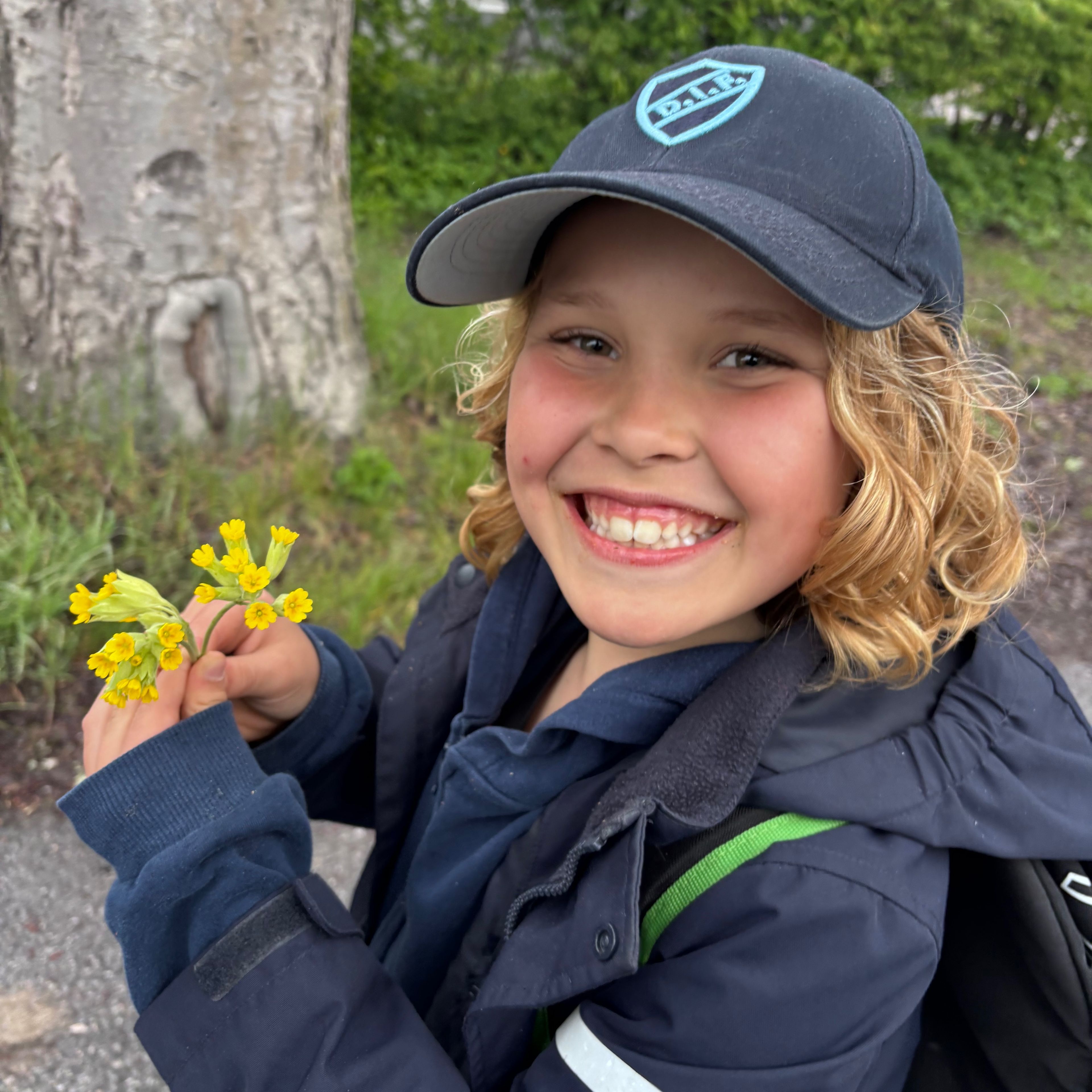 Profilbild för Isak Dahlström Wiberg