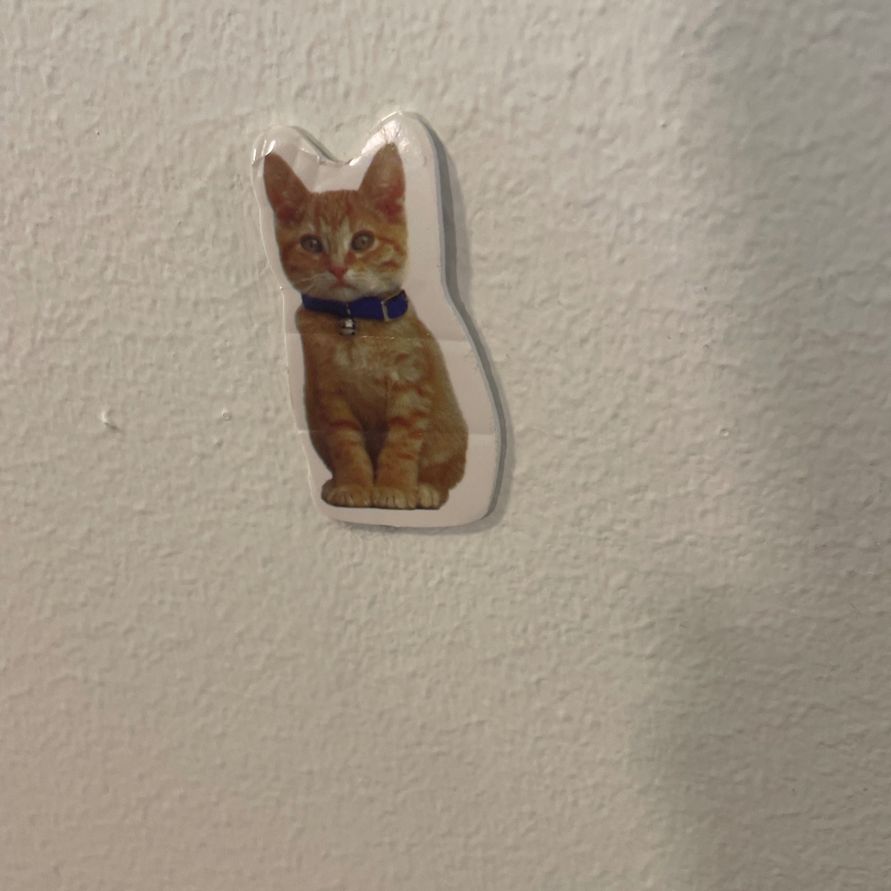 Profilbild för Ulle Bulle