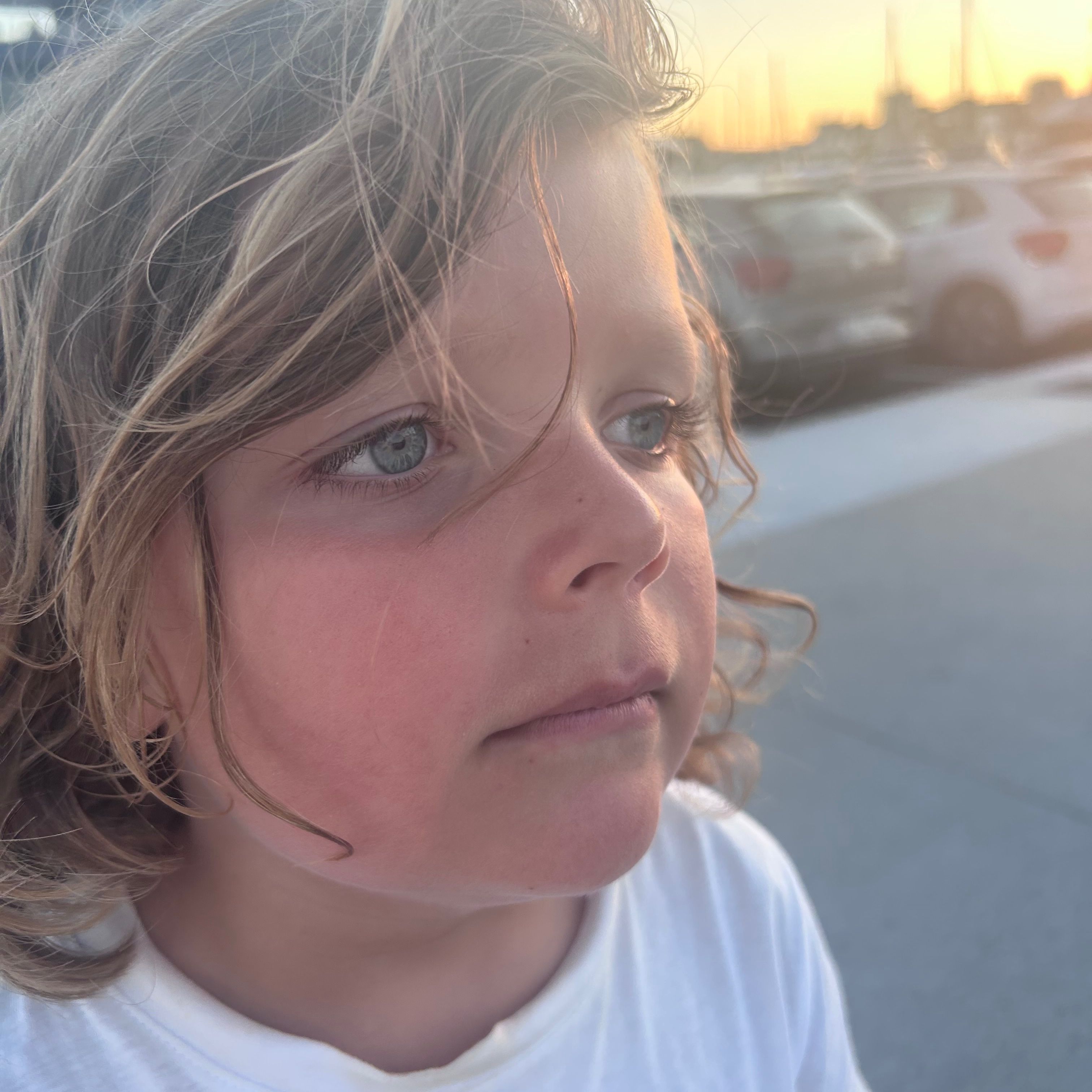 Profilbild för Teddi Mellin