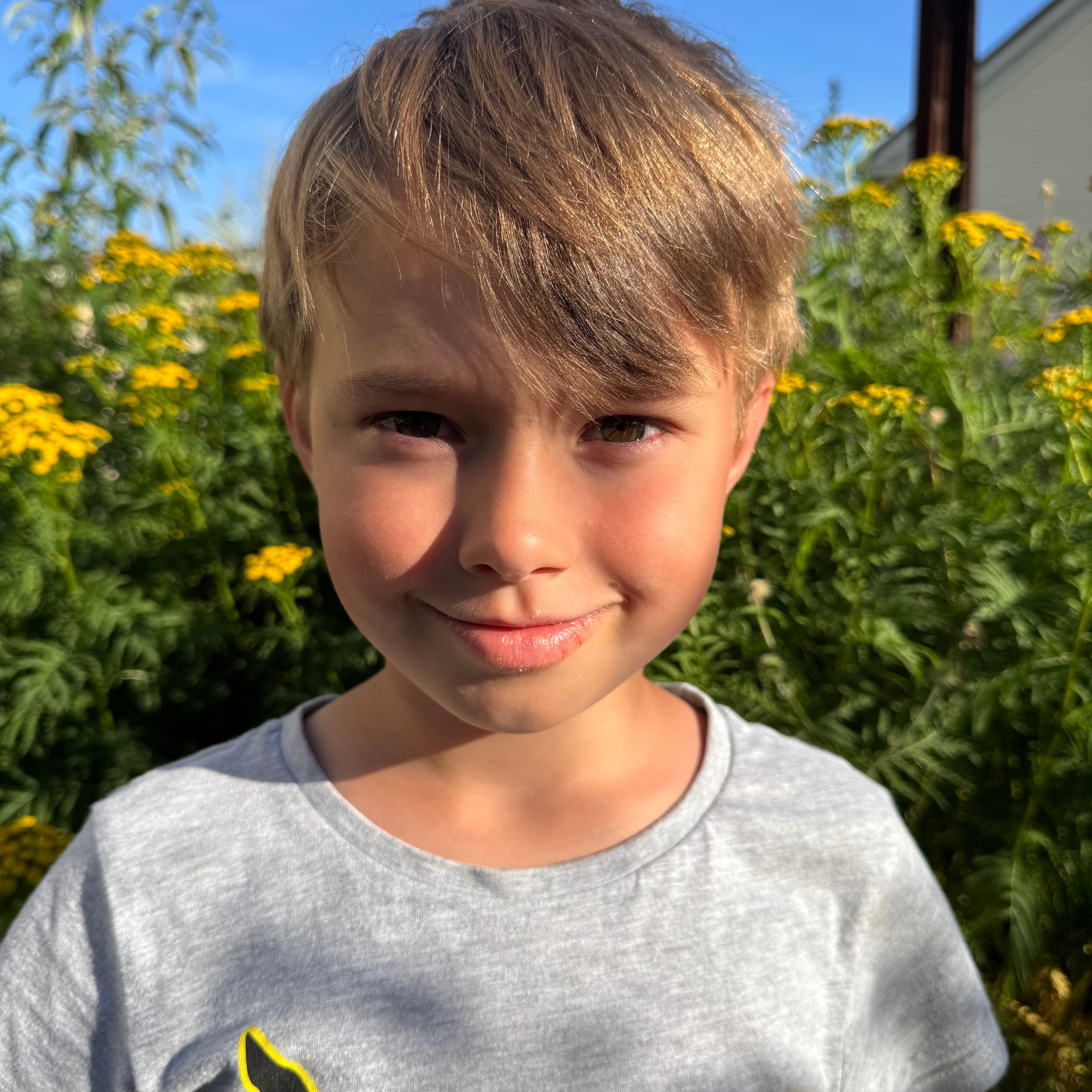 Profilbild för Elton Grubbström