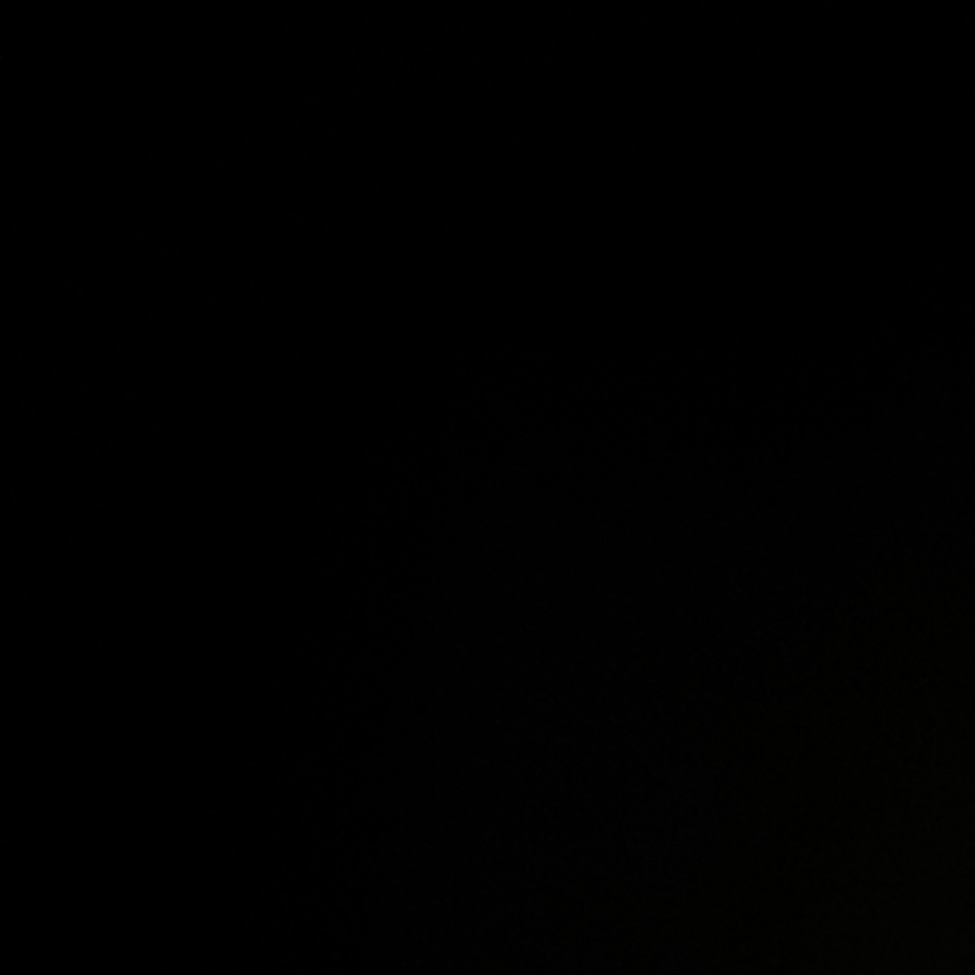 Profilbild för Delshad Jamshidi
