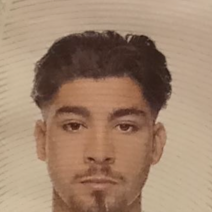 Profilbild för Leonardo Larsson