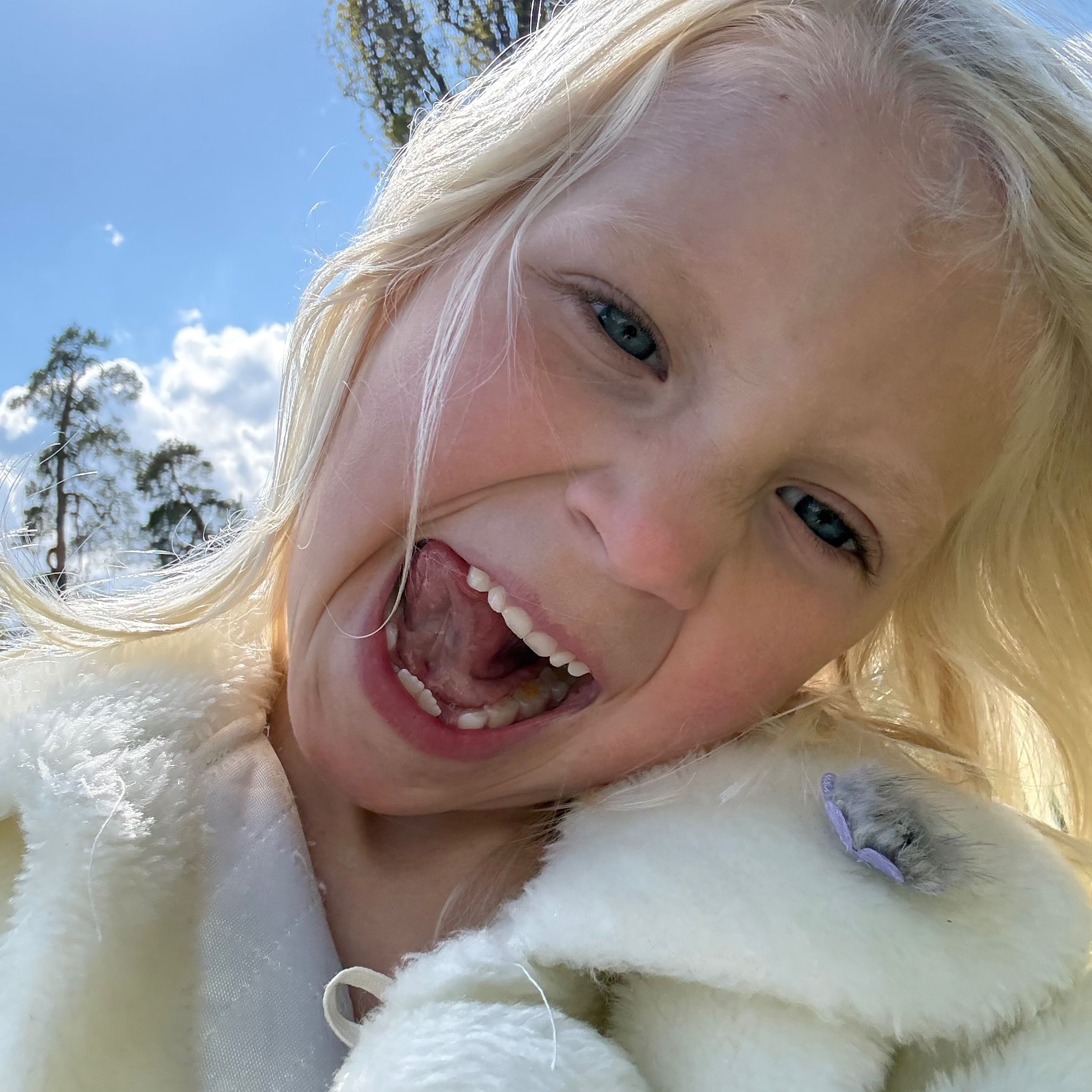 Profilbild för Vera Dolk