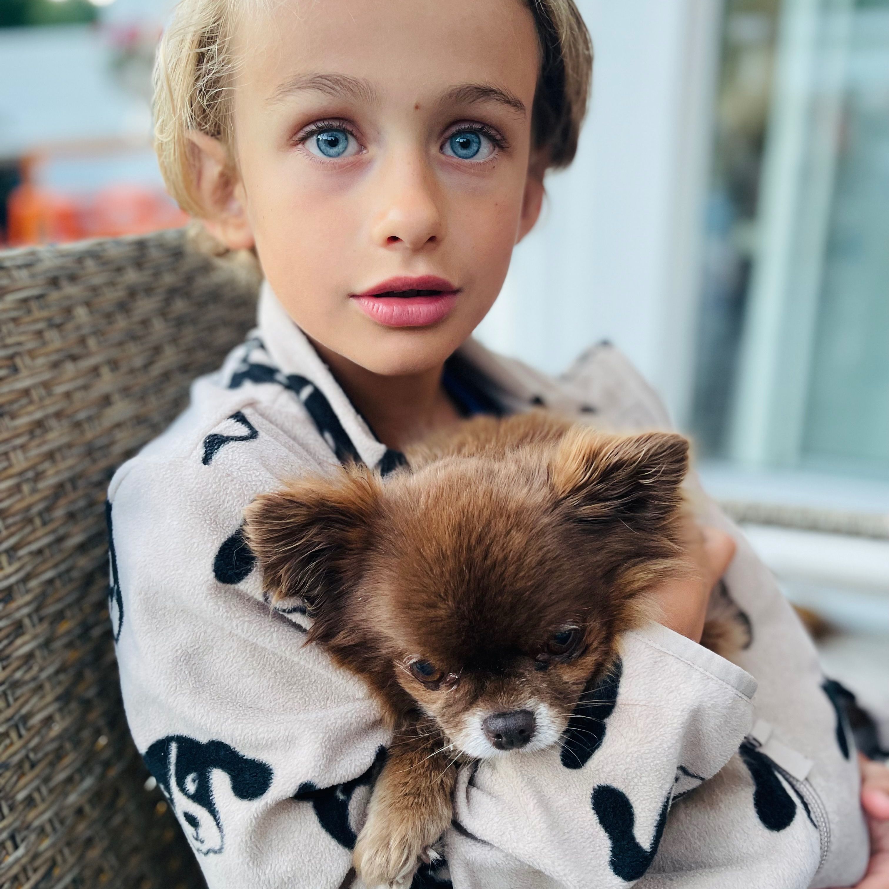 Profilbild för Leon Loui Börjlind Fjaestad