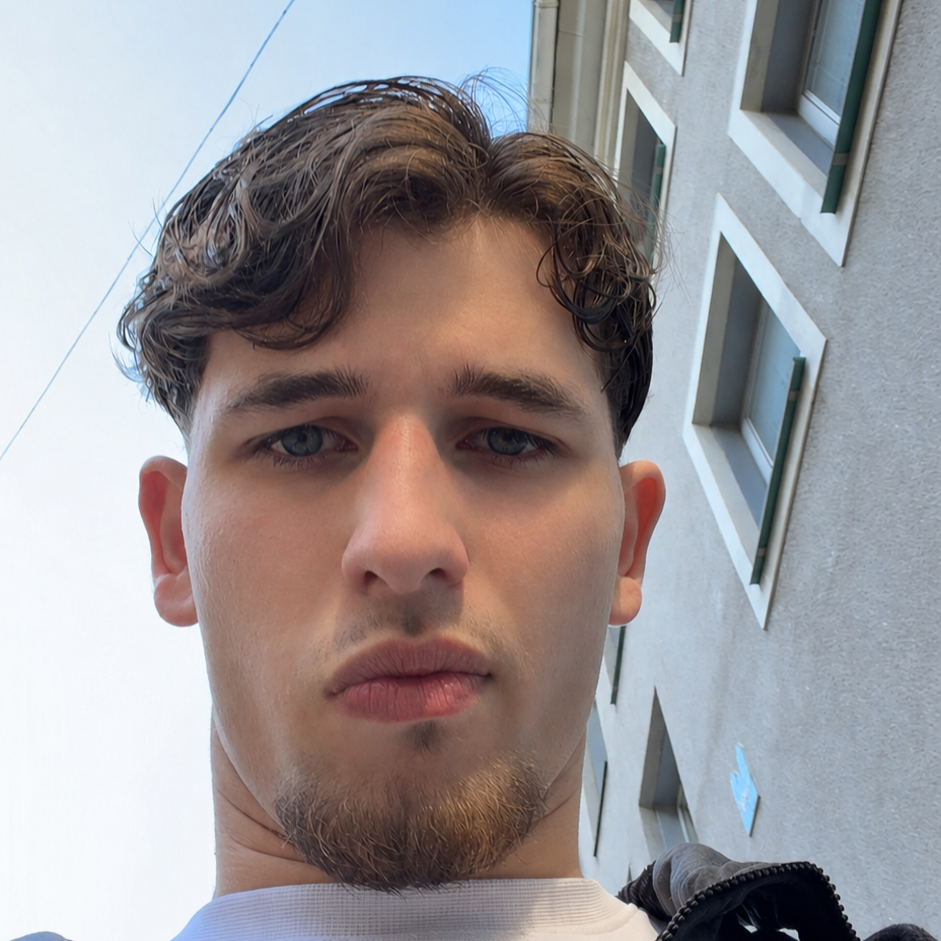 Profilbild för Alpi Makhauri