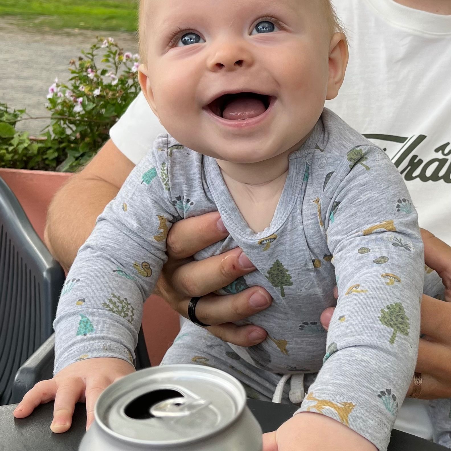 Profilbild för Alvar Svärd