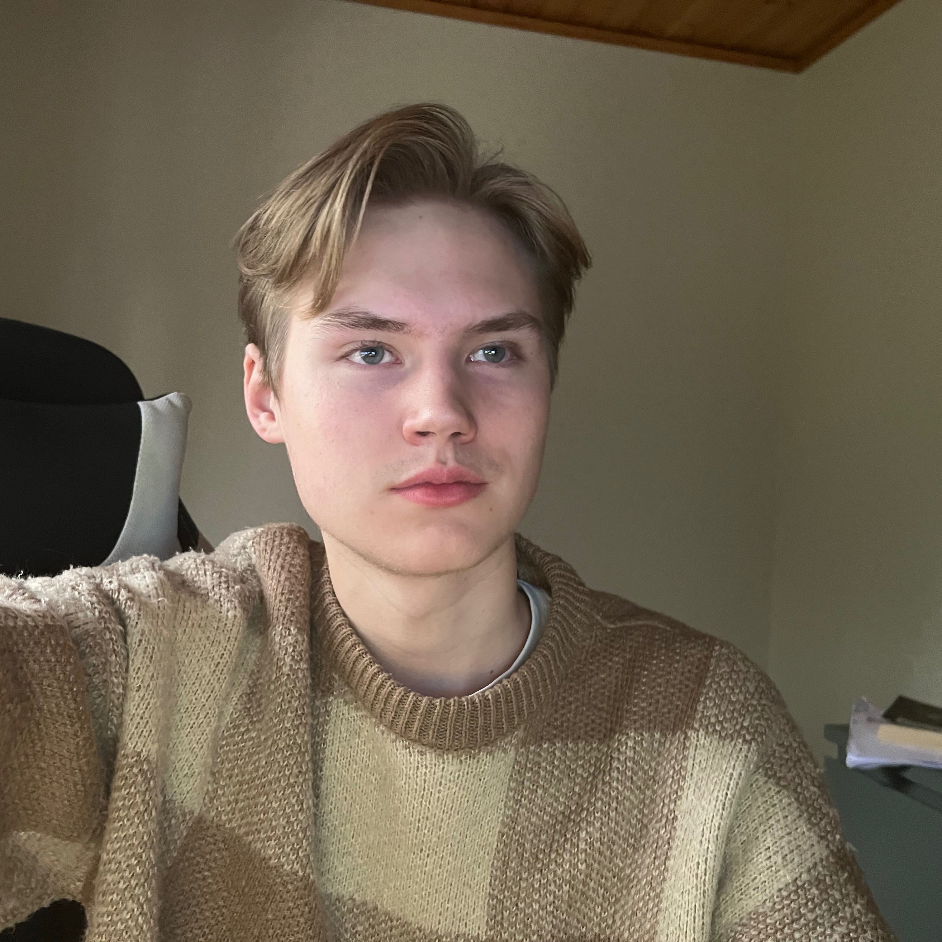 Profilbild för Theodor Lundin