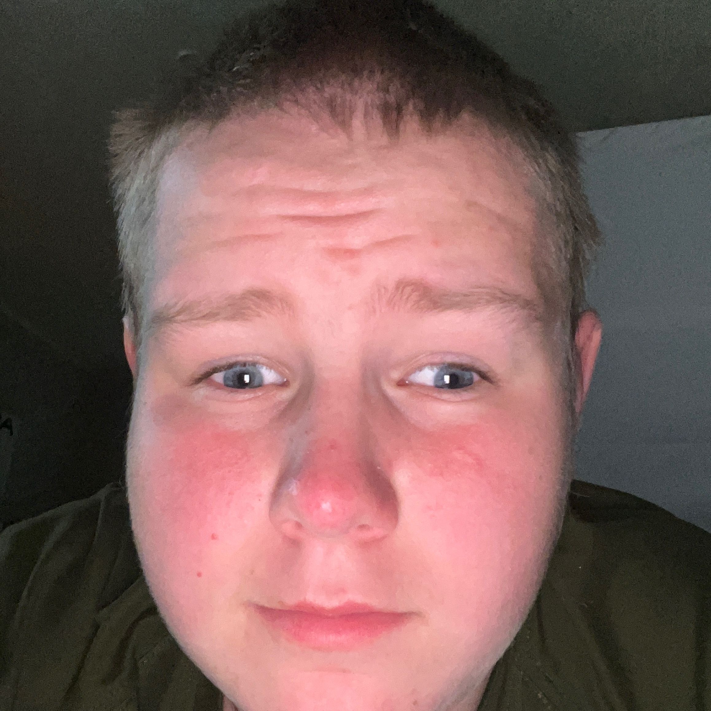Profilbild för William Sellstedt