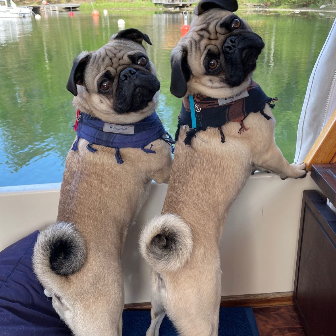 Profilbild för Sari (otto & Jalmar) Wrange