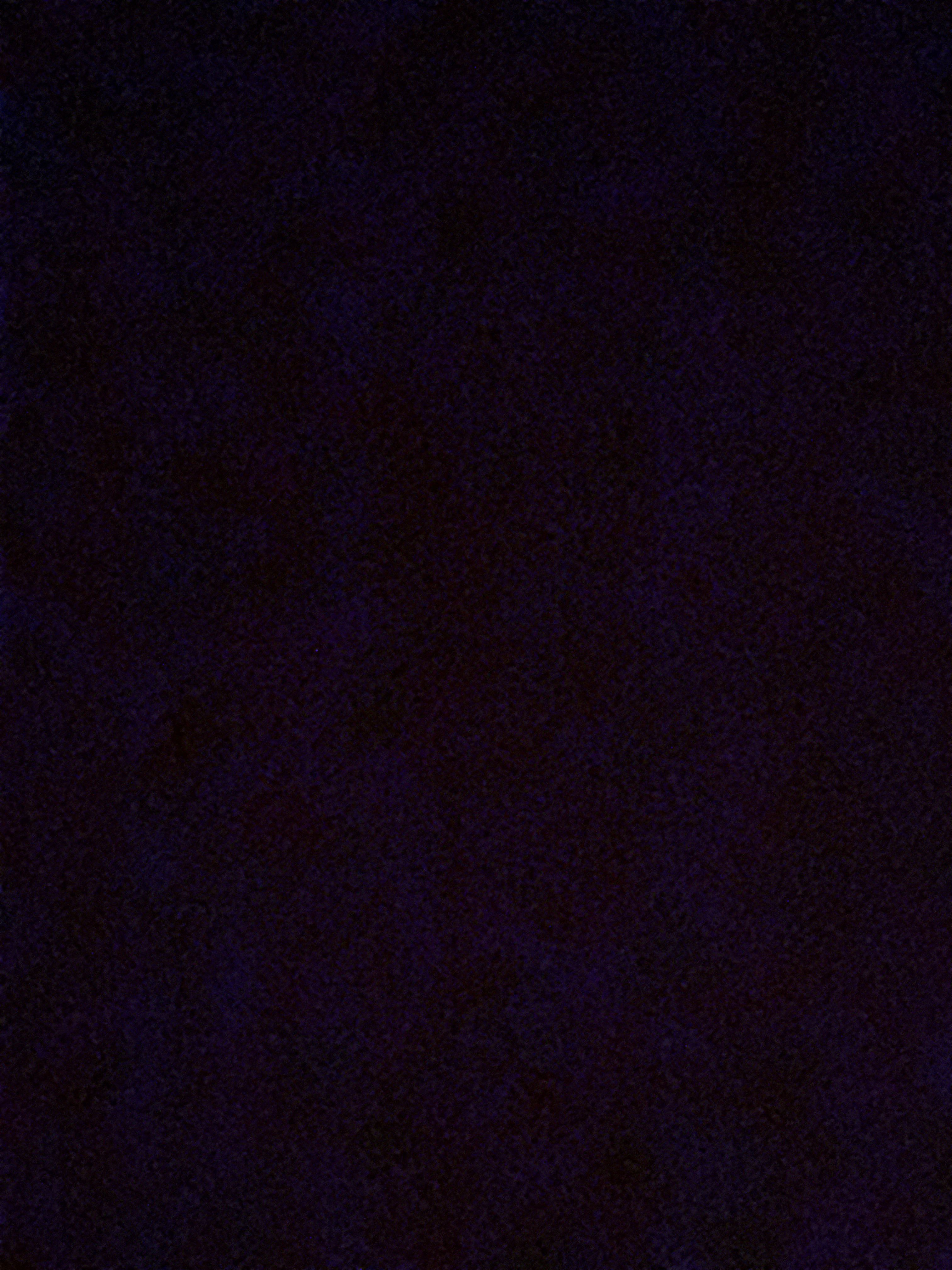 Natalie Henriksson profilbild