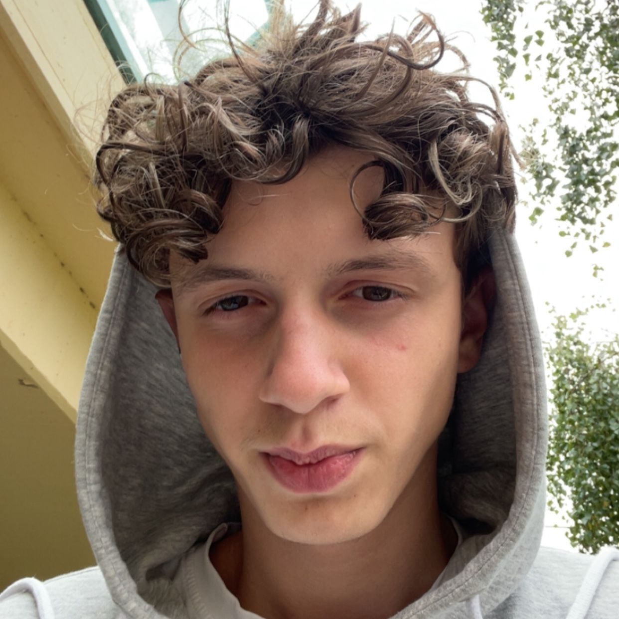 Profilbild för Vigan Murseli