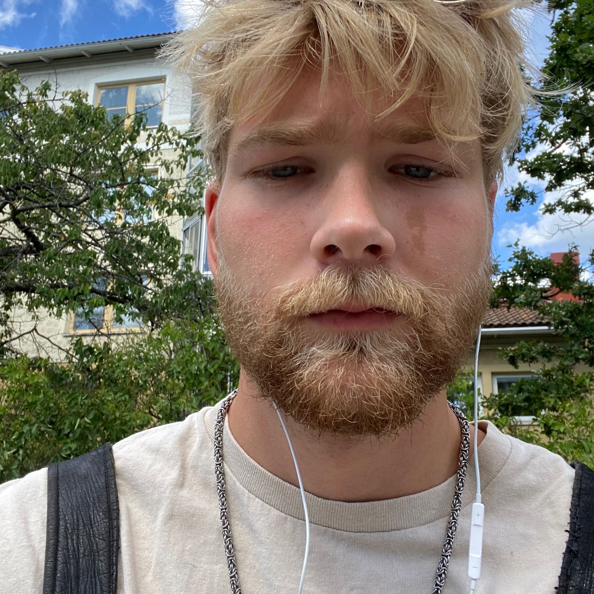 Profilbild för David Olausson