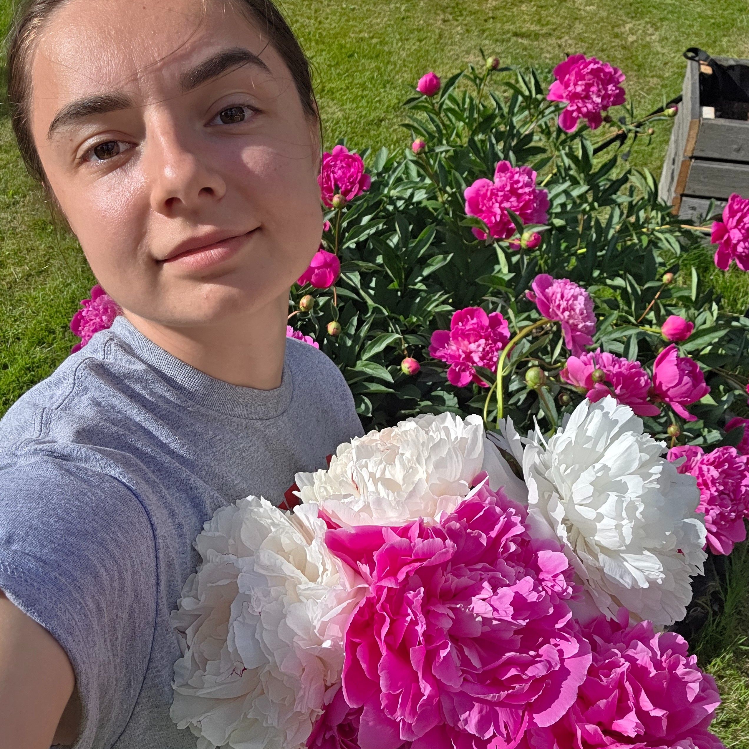 Profilbild för Alexandra Svenlin