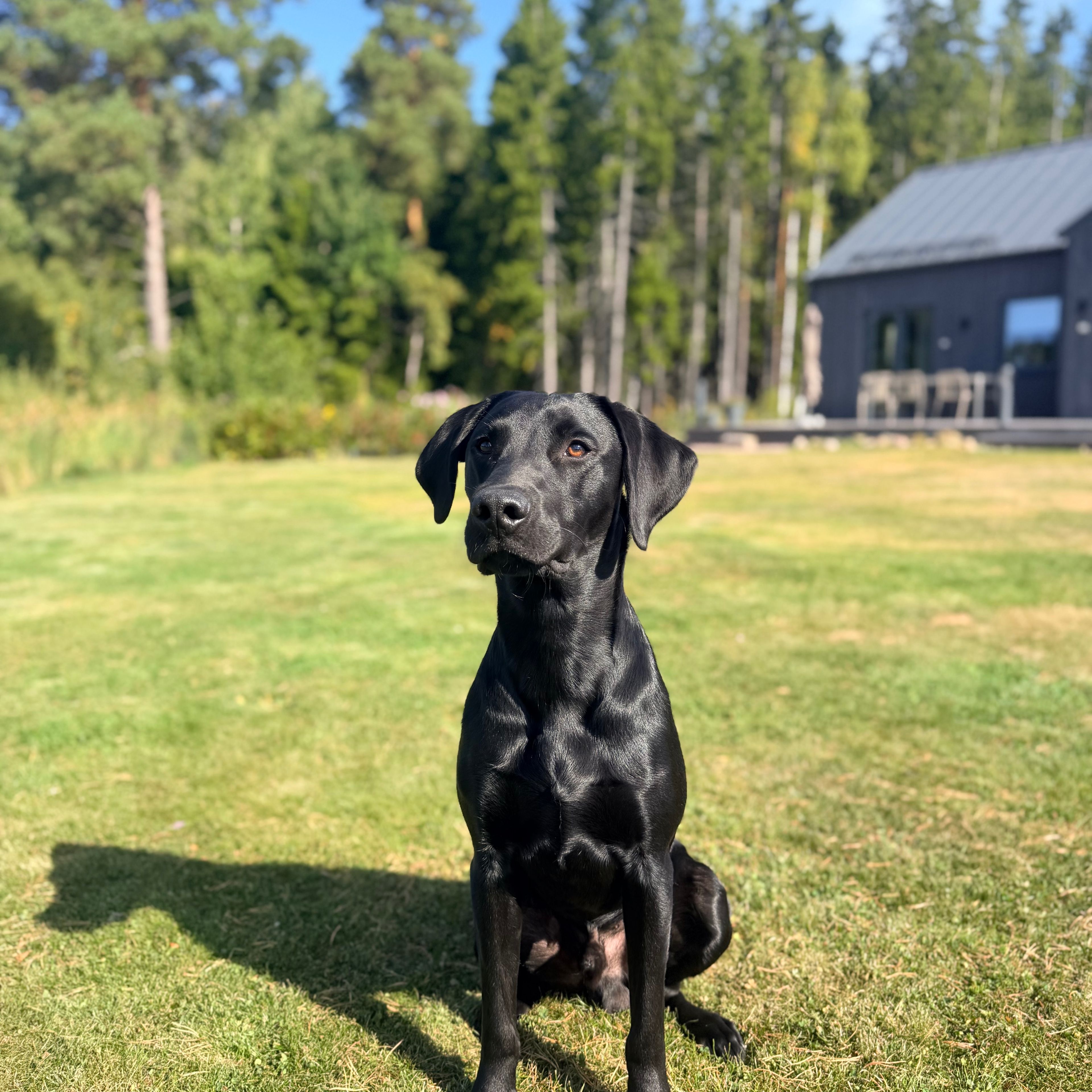 Profilbild för Christine Hellum