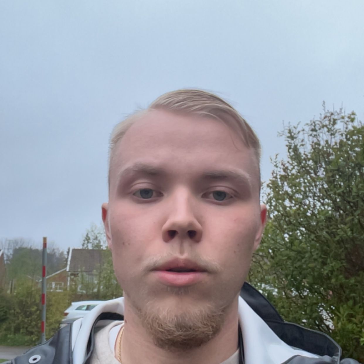 Profilbild för Fabian Meijer