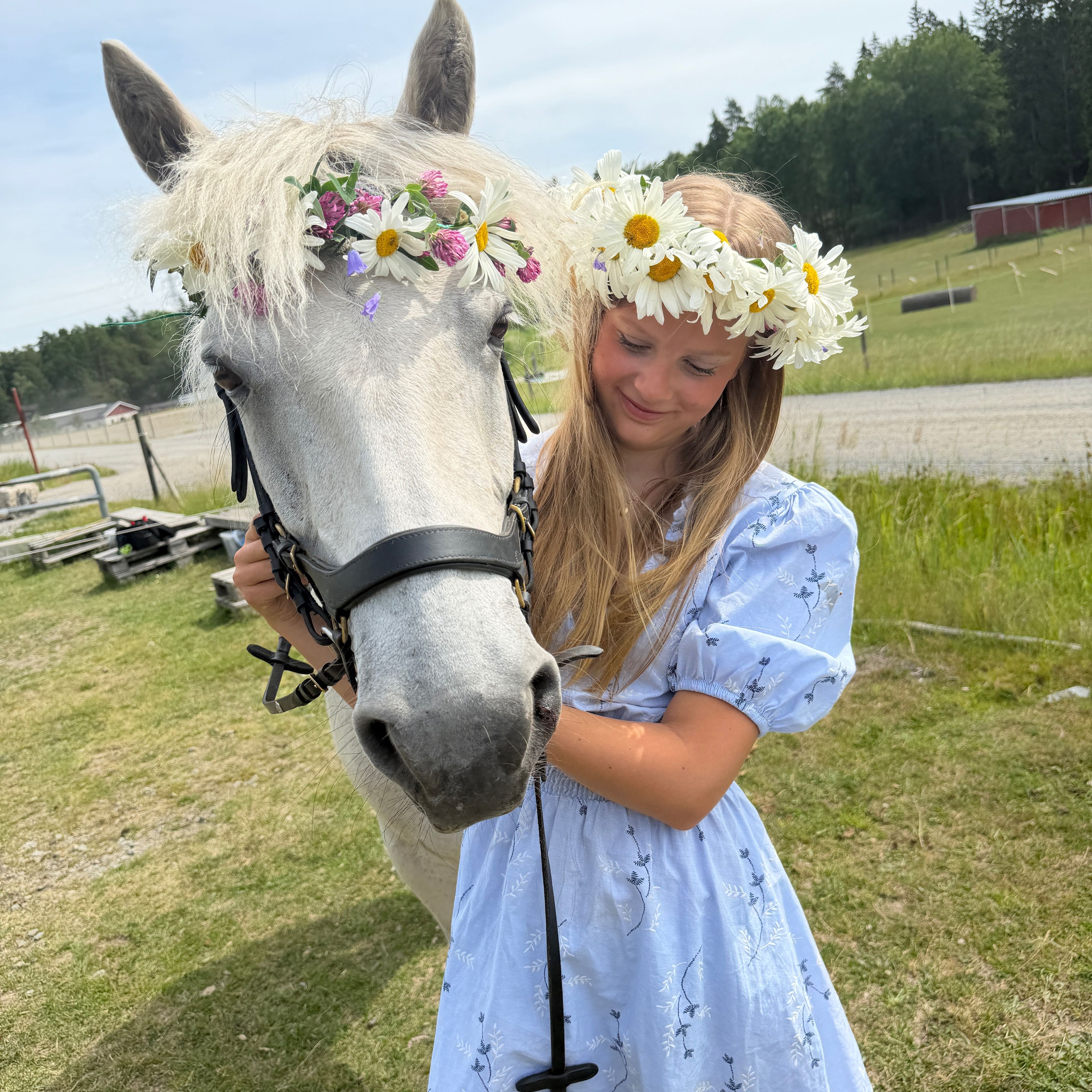 Profilbild för Sally Ardern