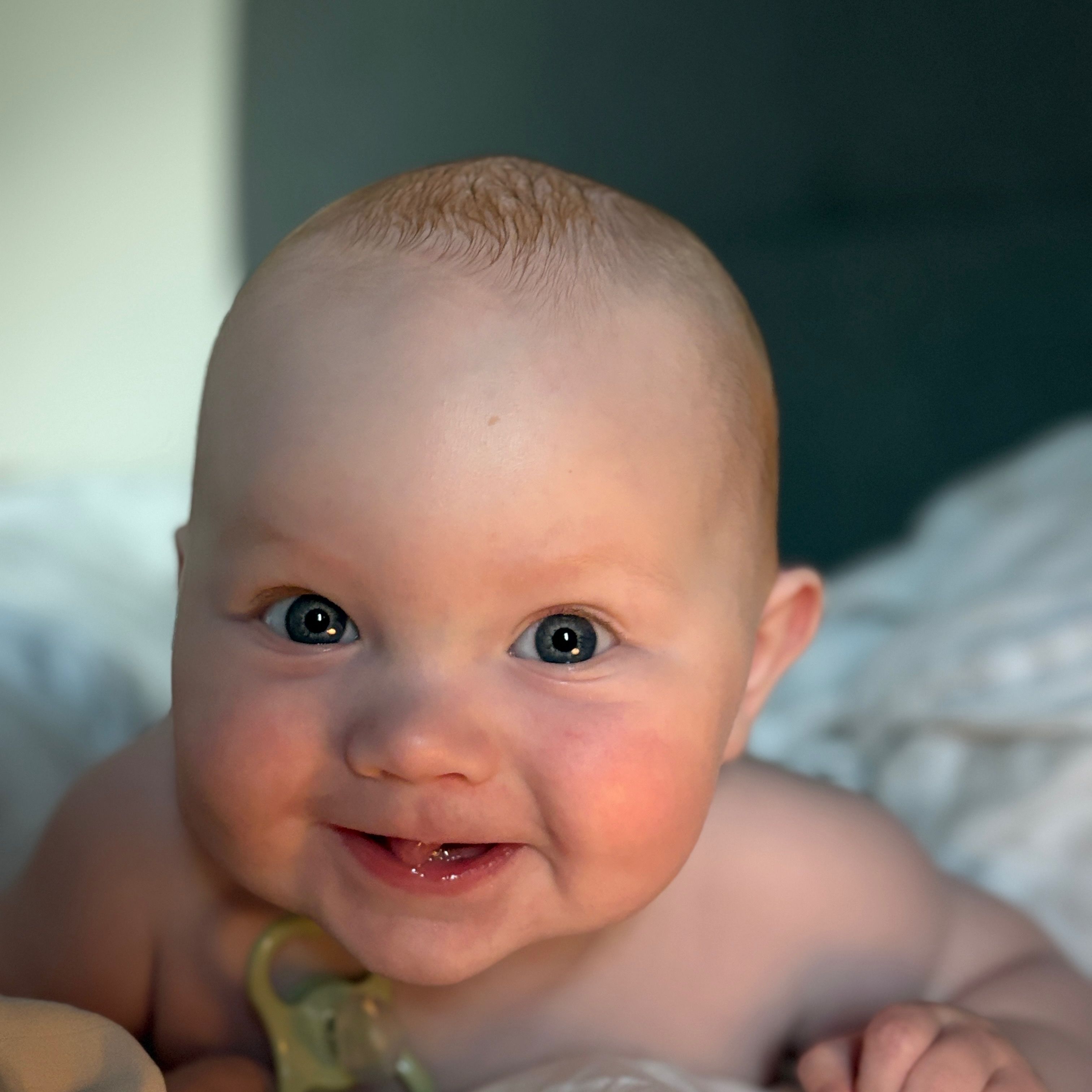 Profilbild för Elias Seputis