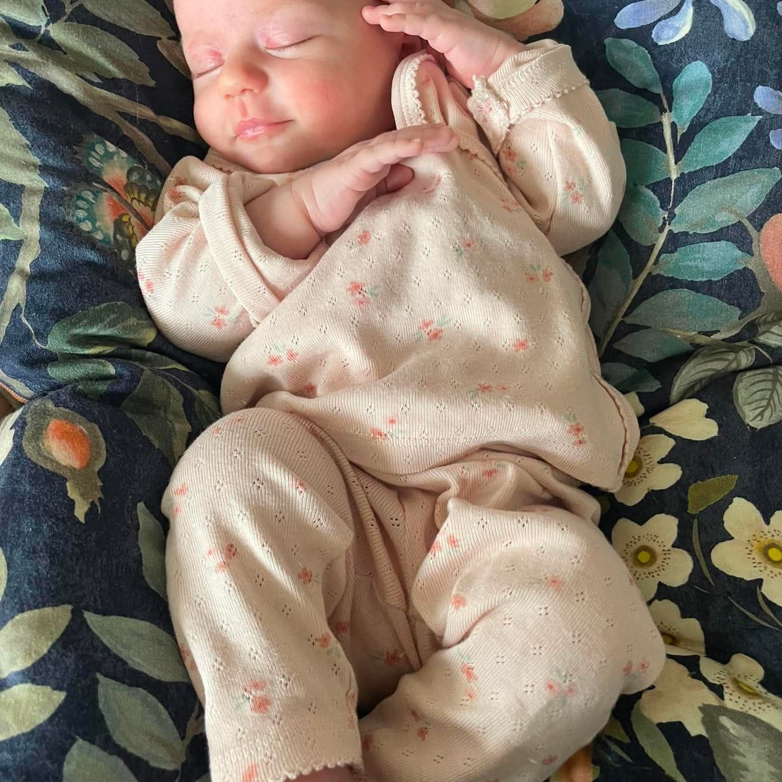 Profilbild för Cleo Timelin Said