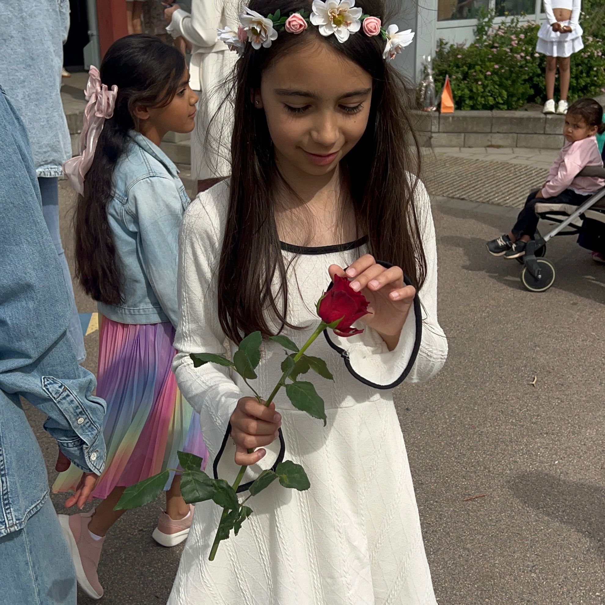 Profilbild för Aleya Plakolli