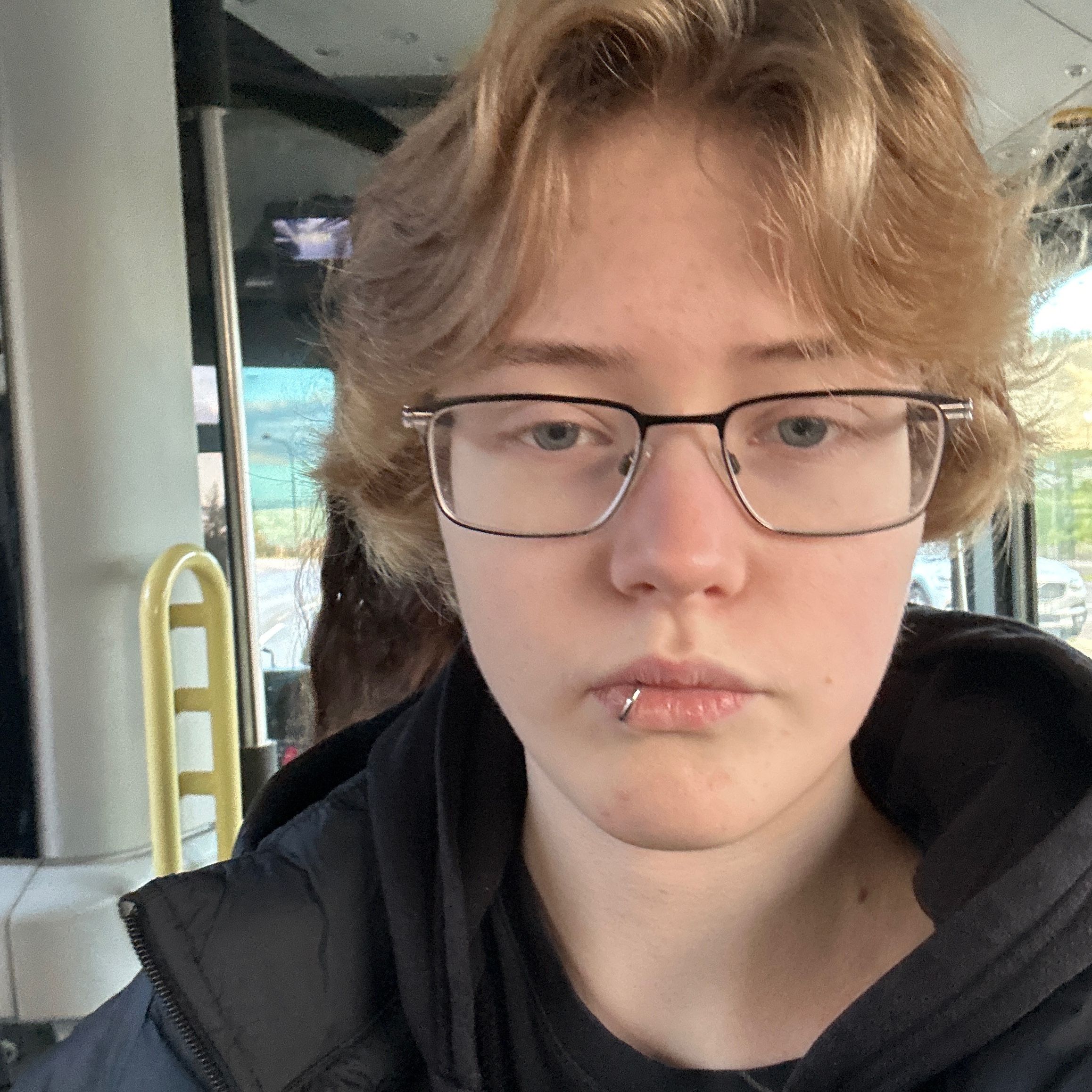 Profilbild för Felix Ahlström