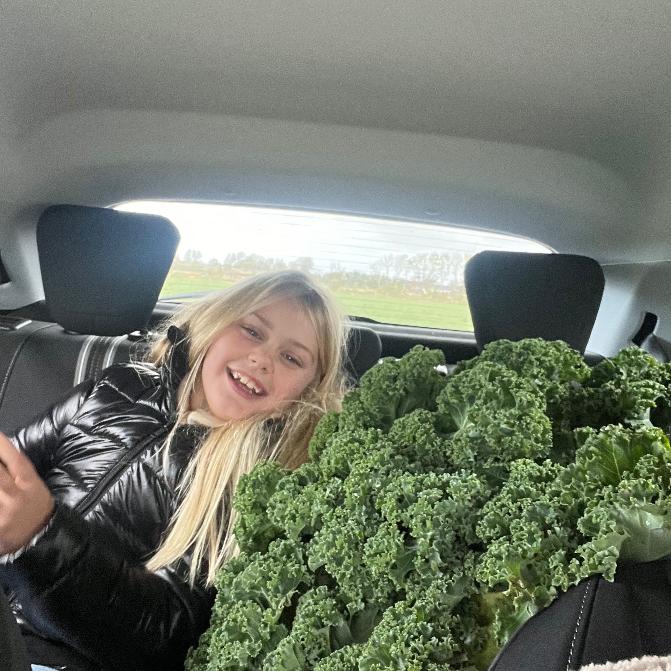 Profilbild för Lowa Persson