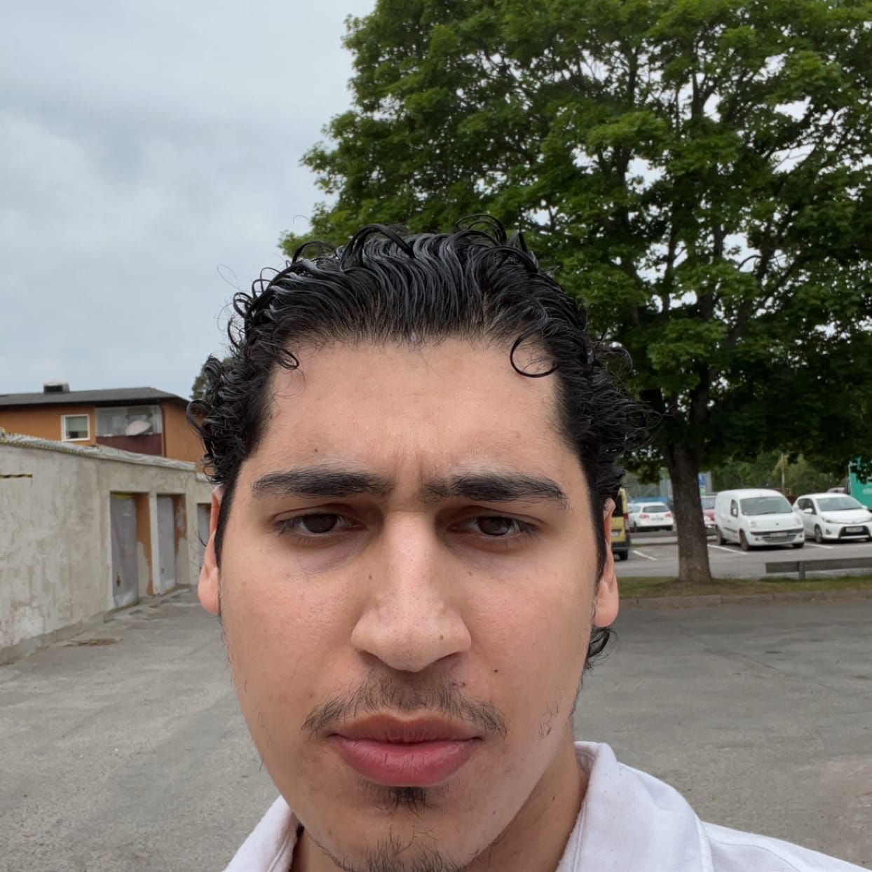 Profilbild för Daniel Bahar