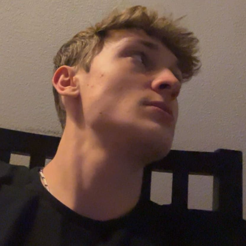 Profilbild för Ludwig Wiberg