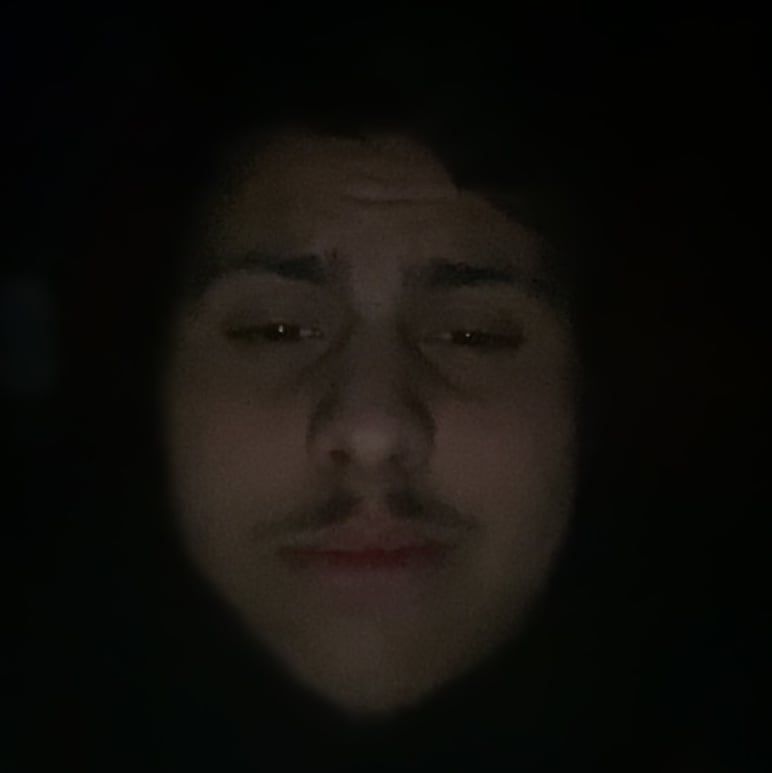 Profilbild för Alamir Haidar Eiran