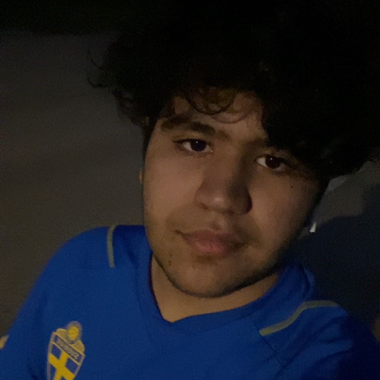 Profilbild för Amirali Ghanavatizadeh