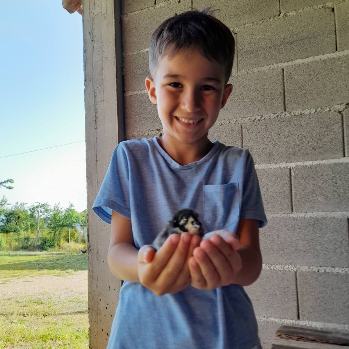 Profilbild för Altin Zylfa