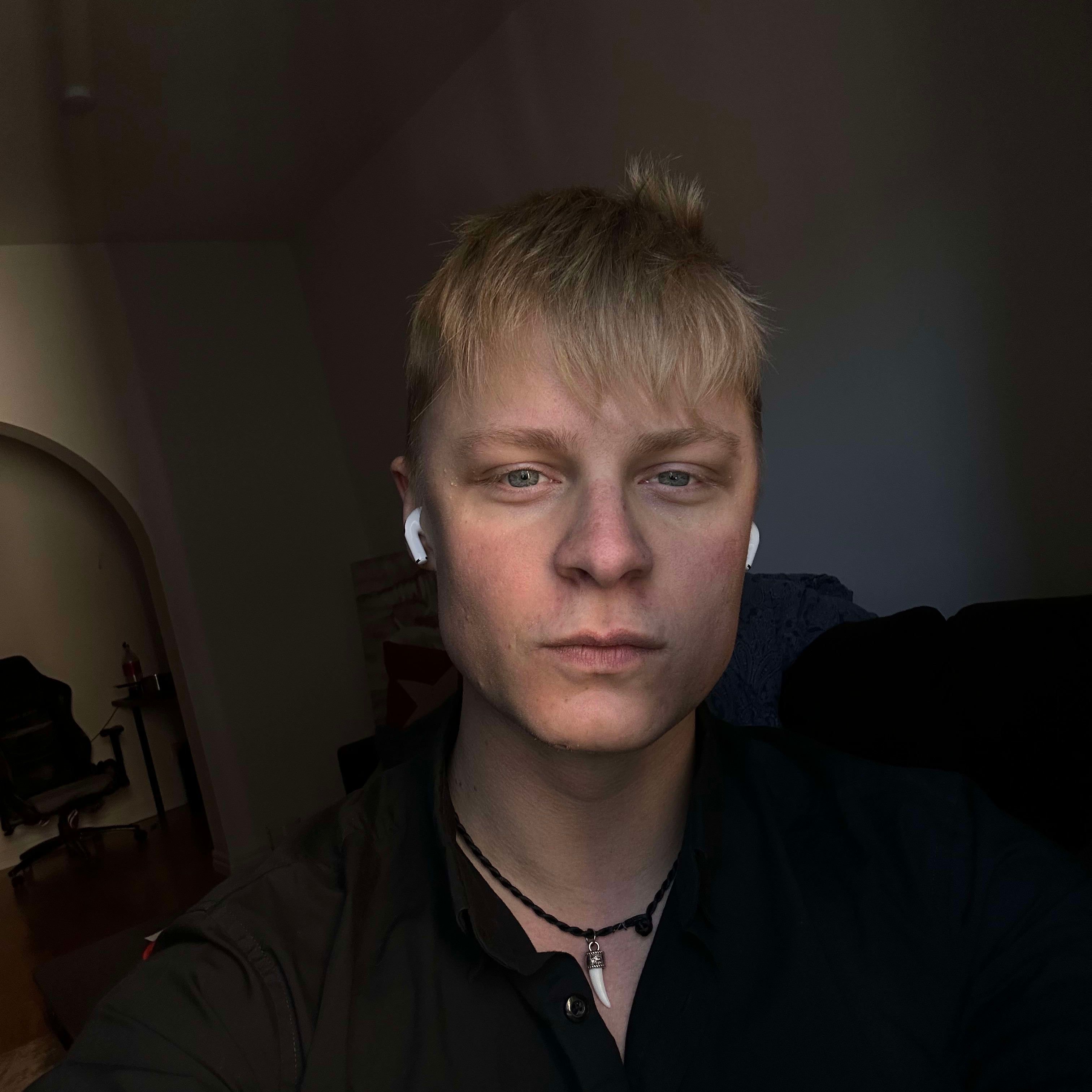 Profilbild för Emil Torsson