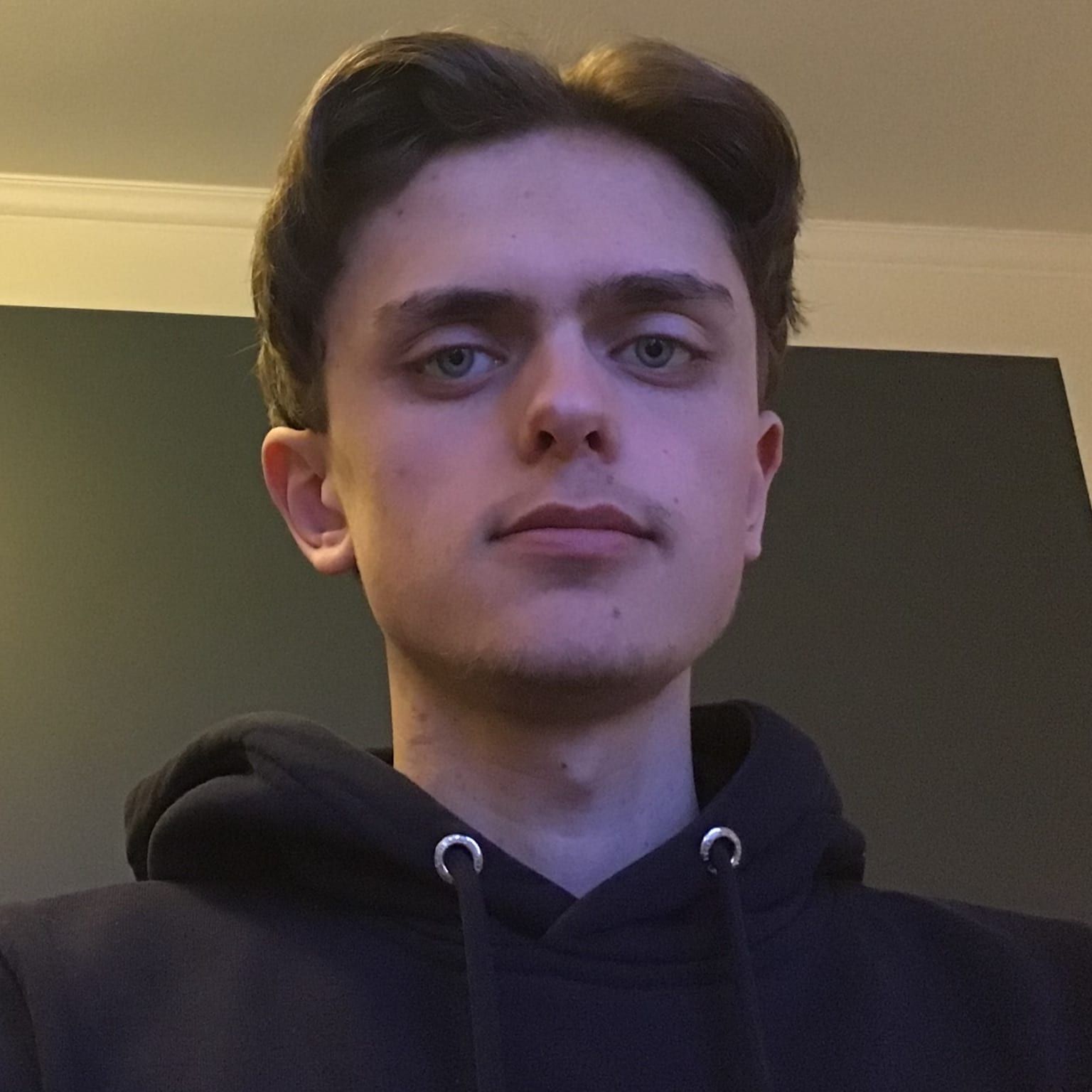 Profilbild för Karl Hjalmarsson