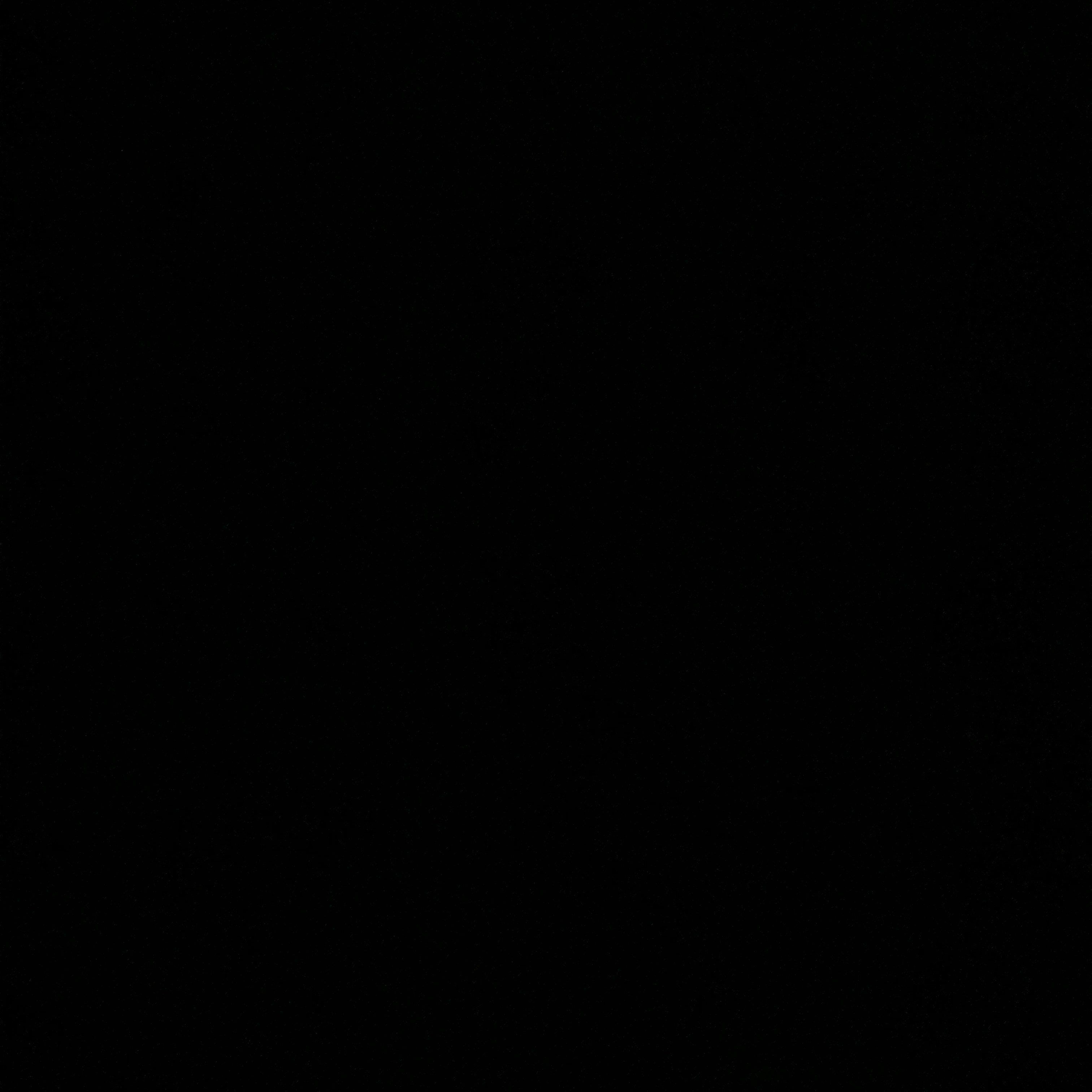 Profilbild för Amila Honic