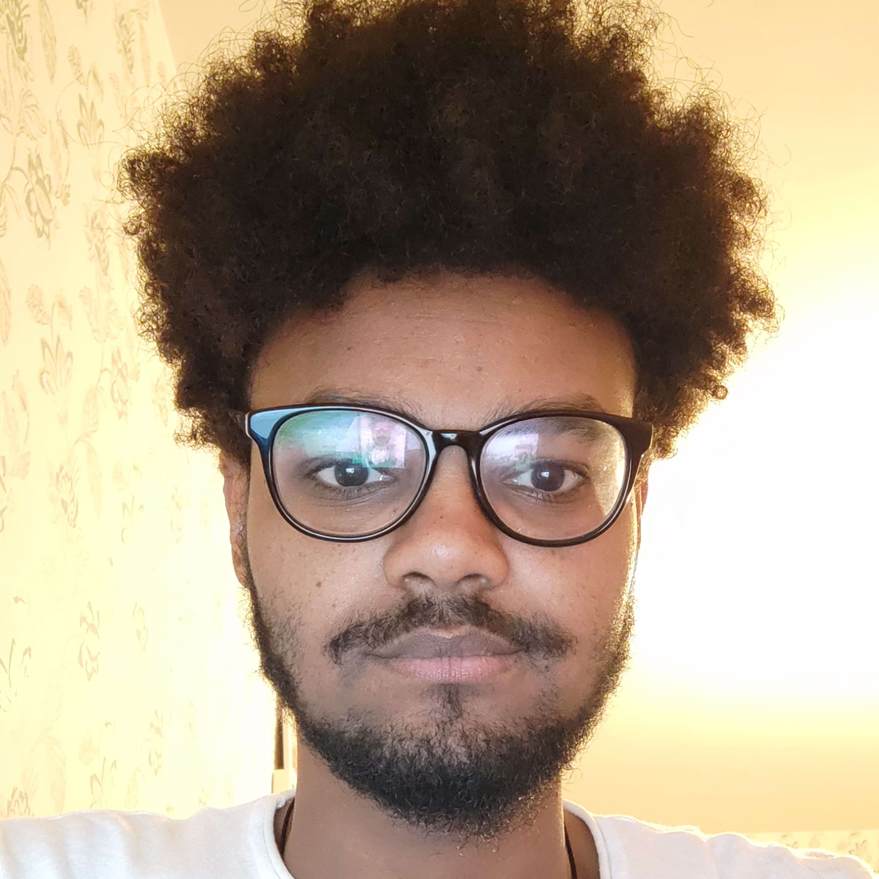 Profilbild för Tsegazeab Mulubrhan Fitsum