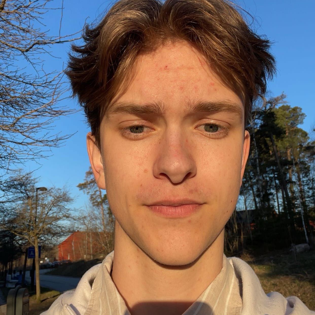 Profilbild för Kalle Öhrsvik