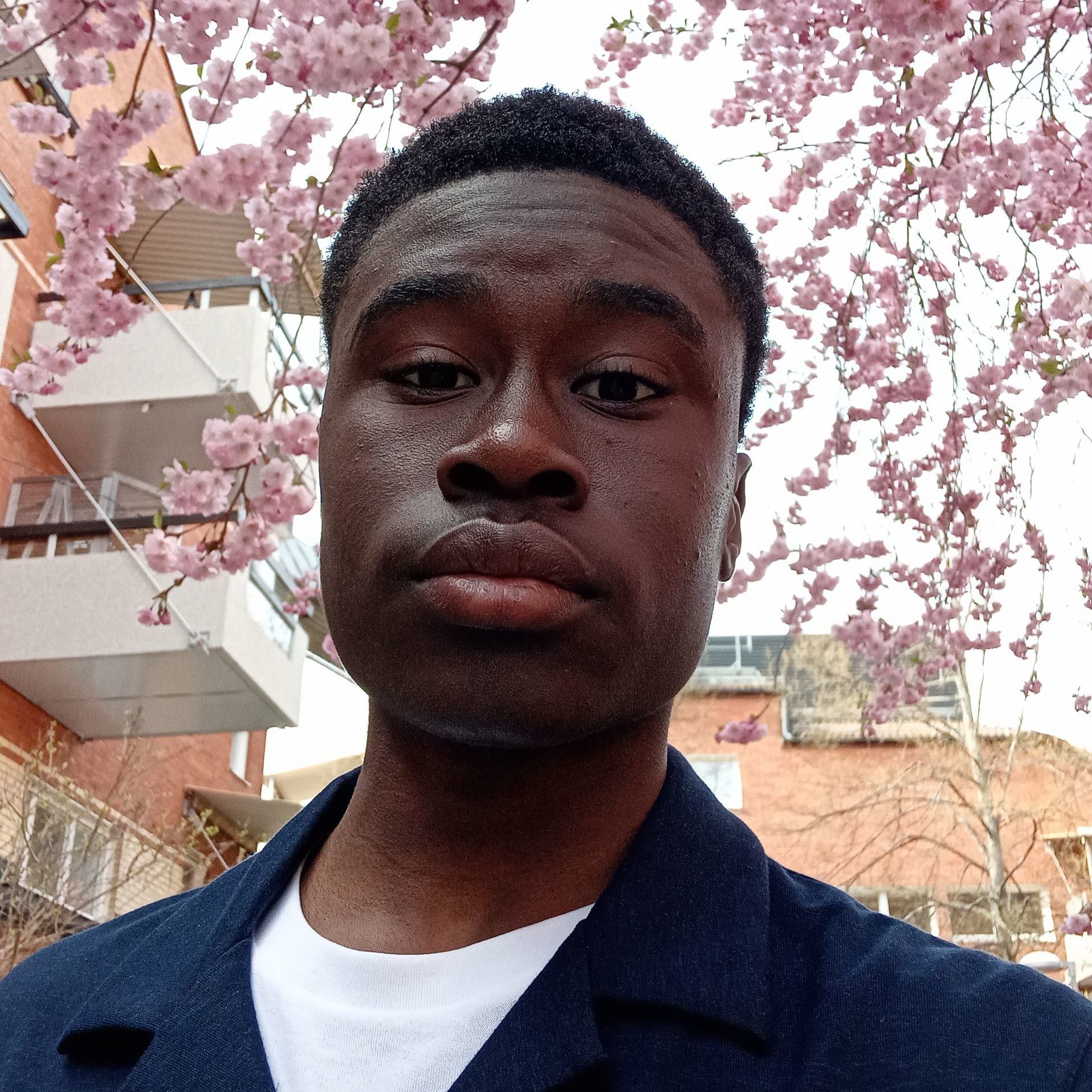 Profilbild för Ismail Kande