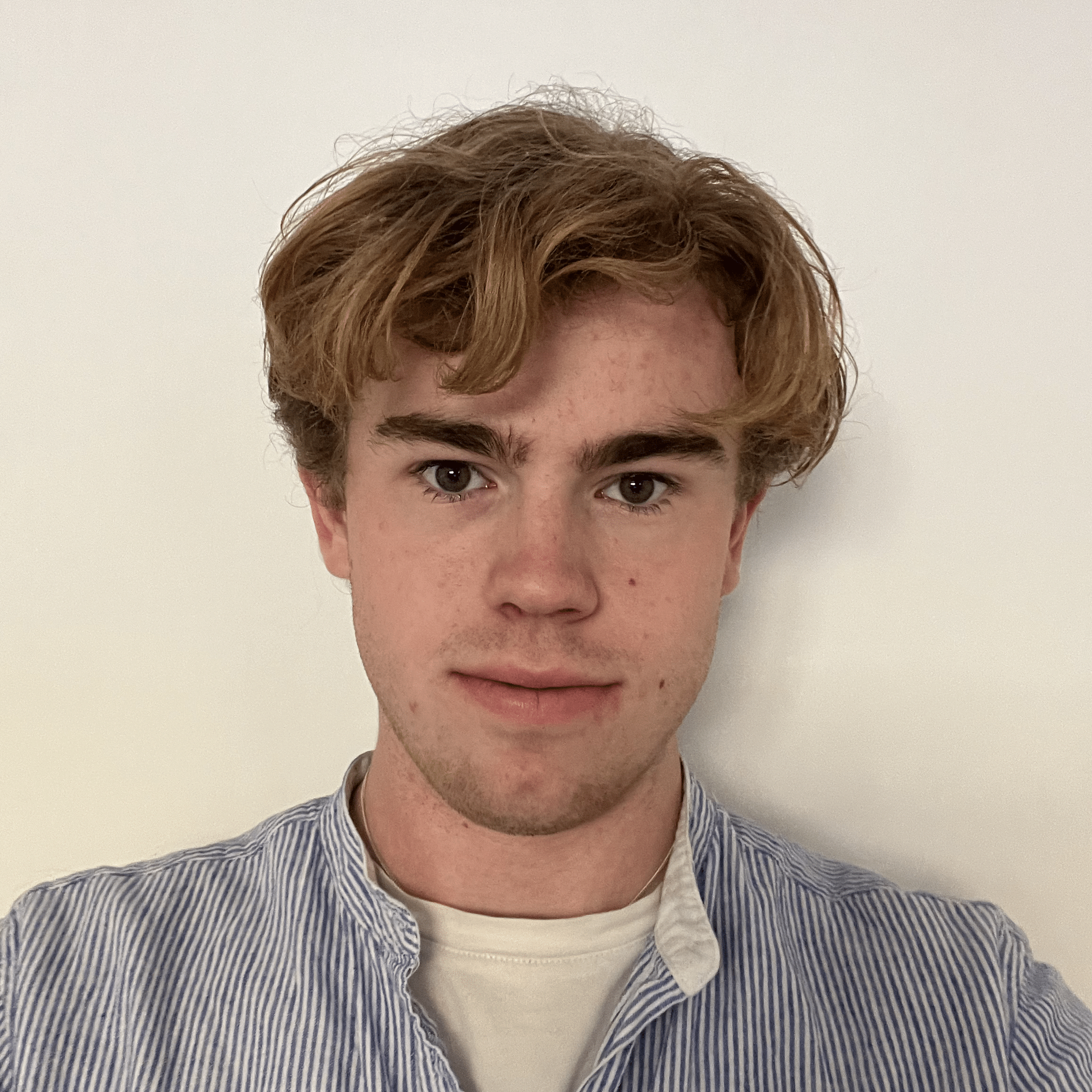 Profilbild för Anton Ahlberg