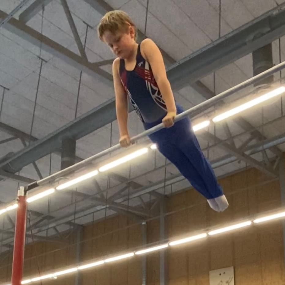 Profilbild för Vilmer Åhlstedt