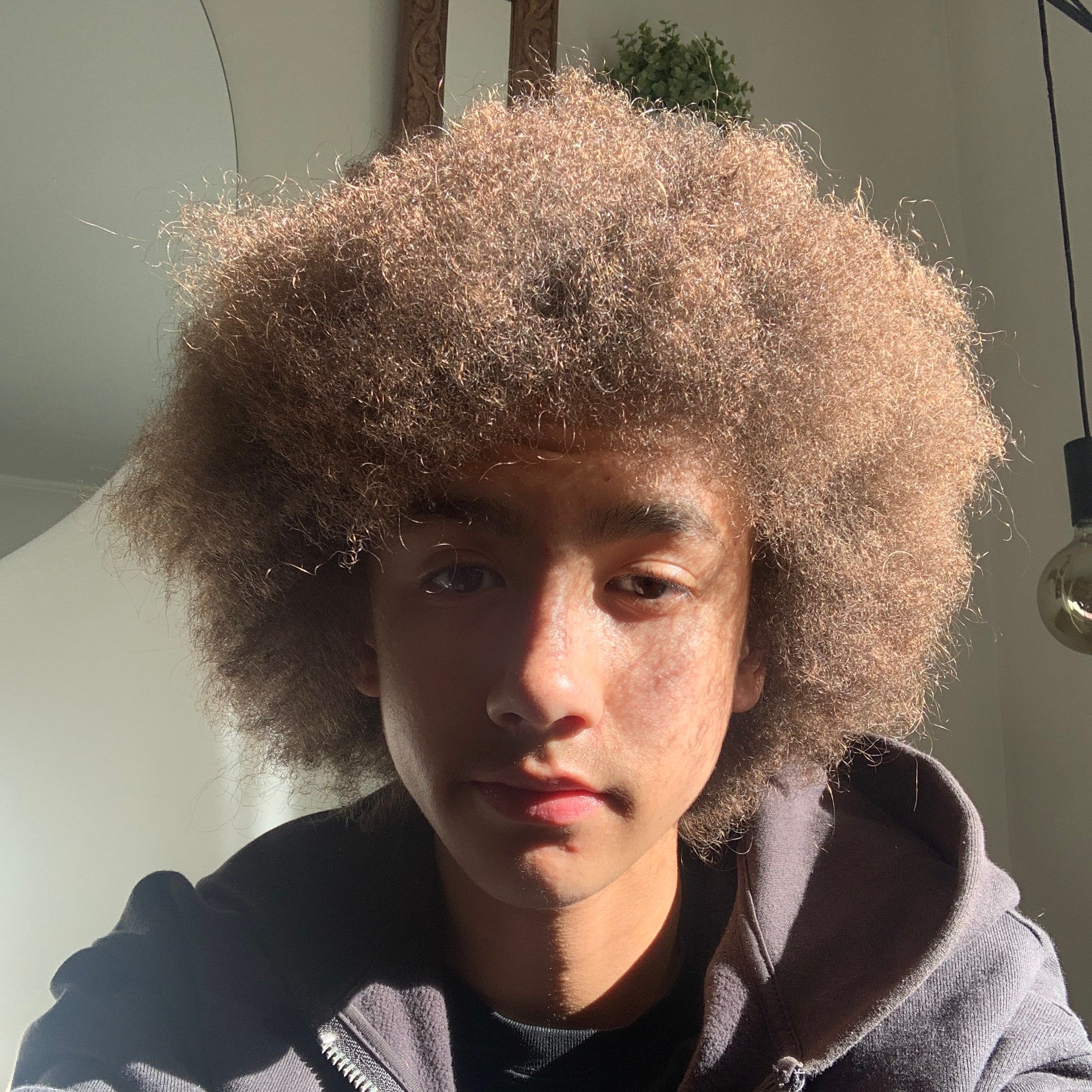 Profilbild för Shya Felder