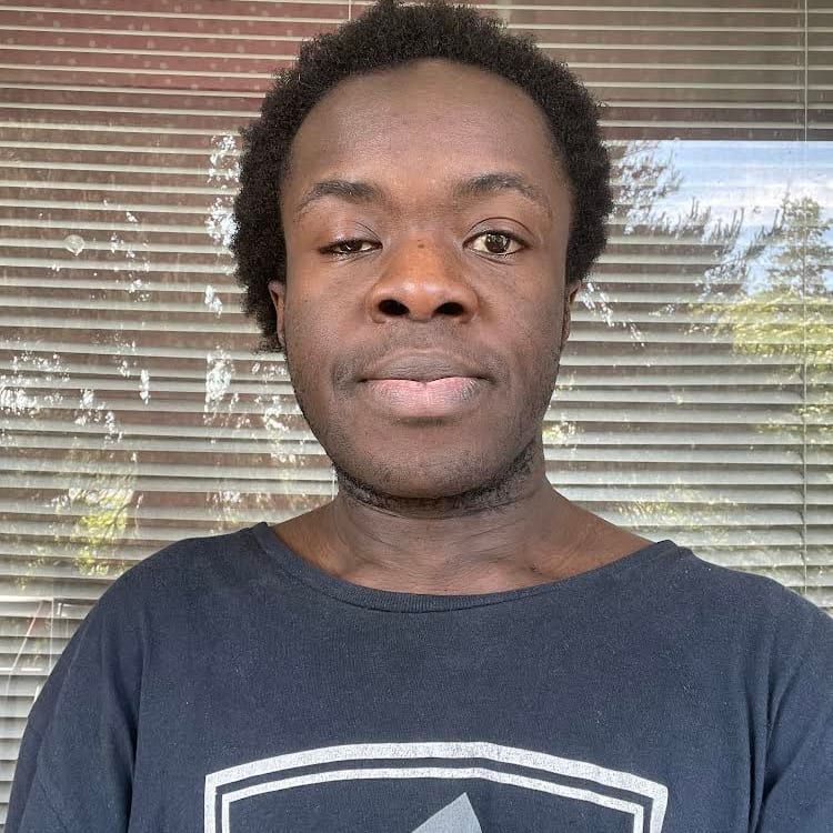 Profilbild för Dion Ijeh