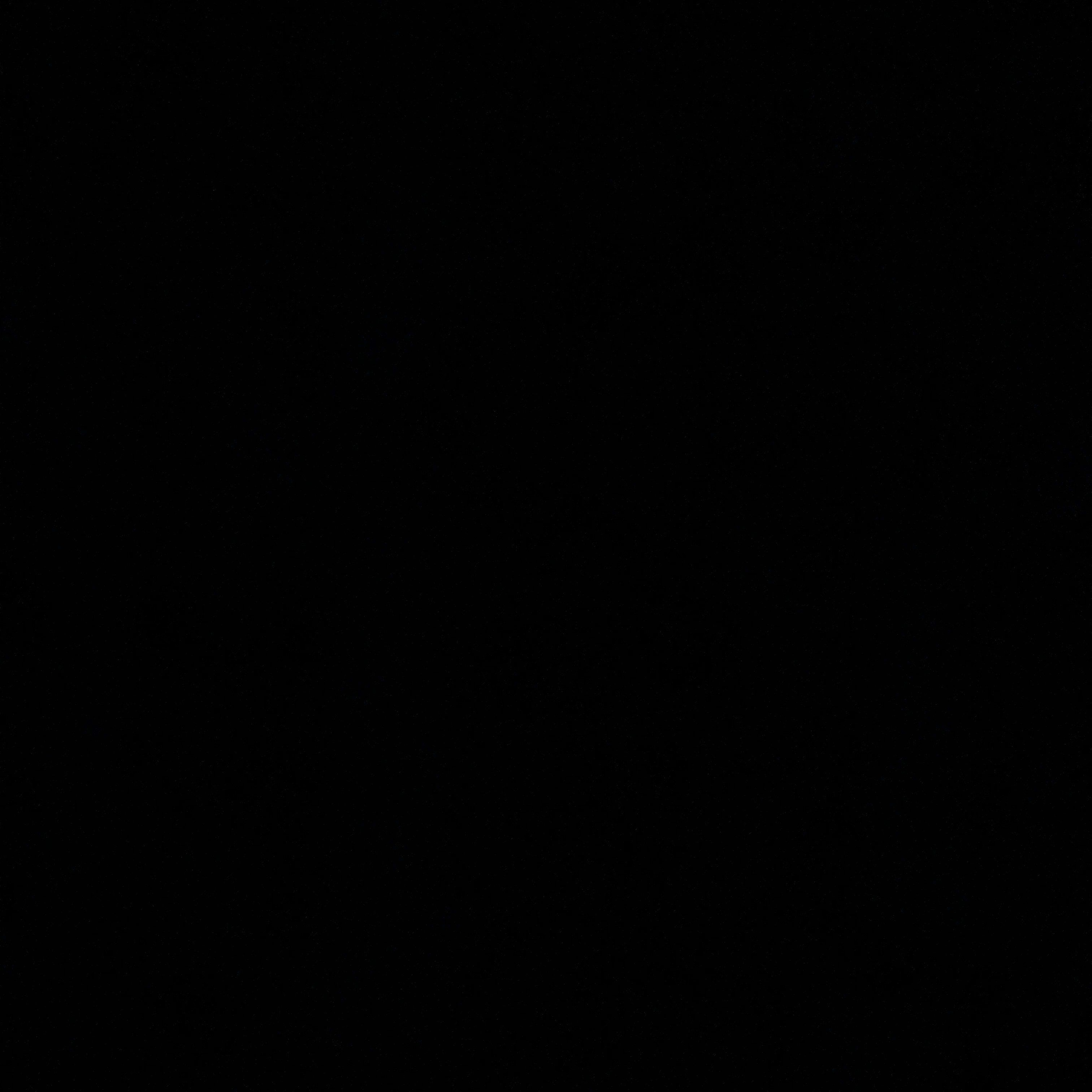 Profilbild för Ramtin Hashemi