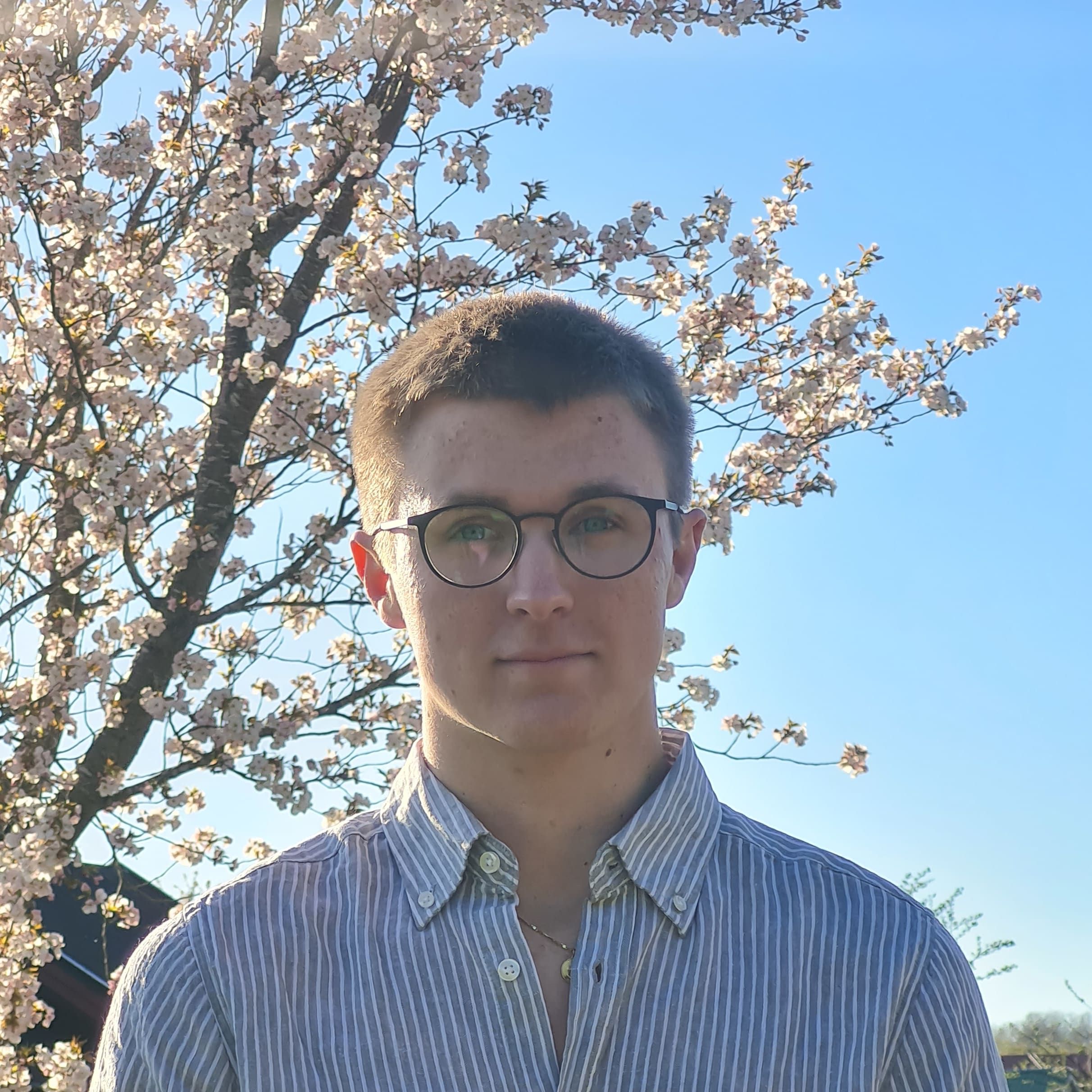 Profilbild för Daniel Österberg