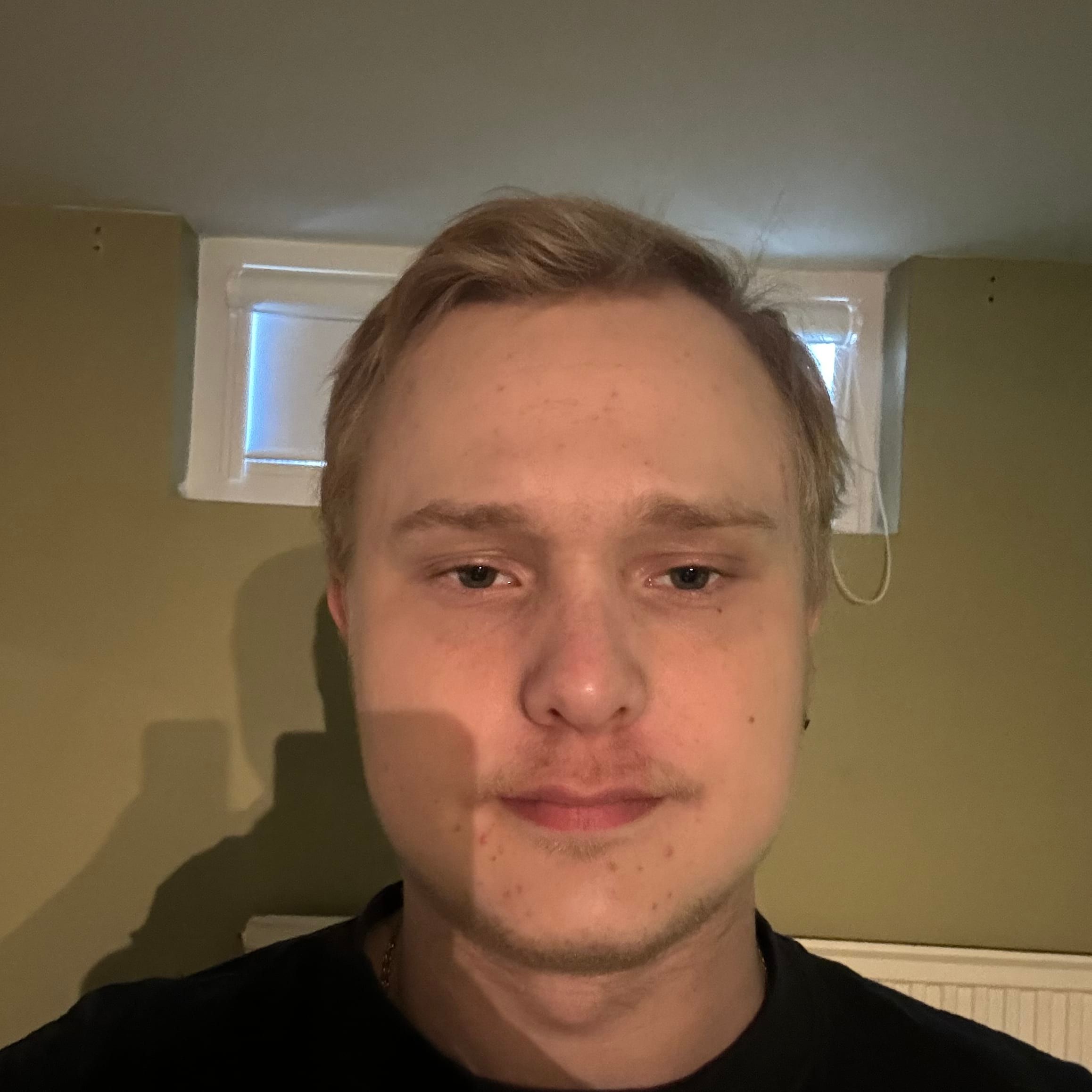Profilbild för Alexander Hofvander