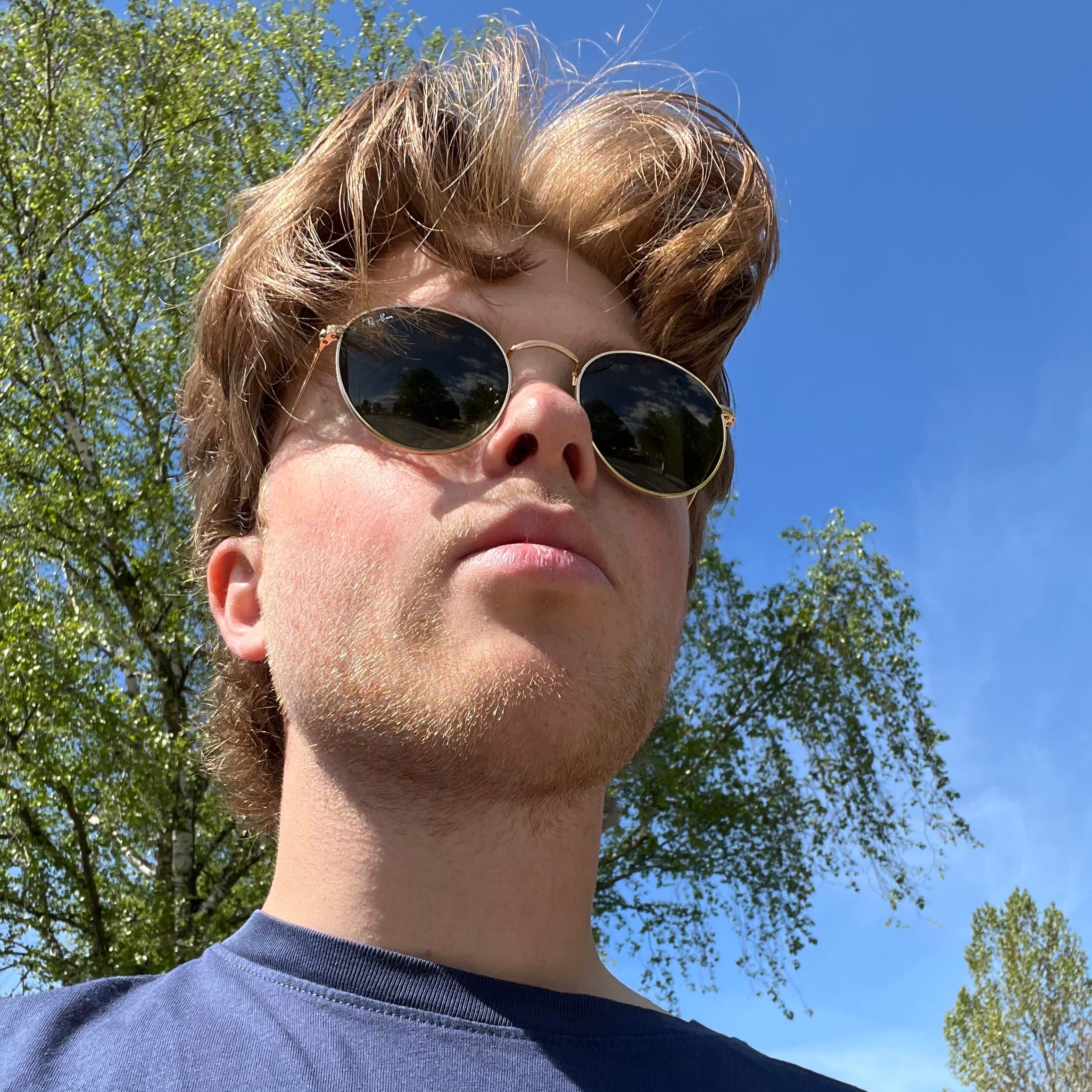 Profilbild för Lukas Svensson