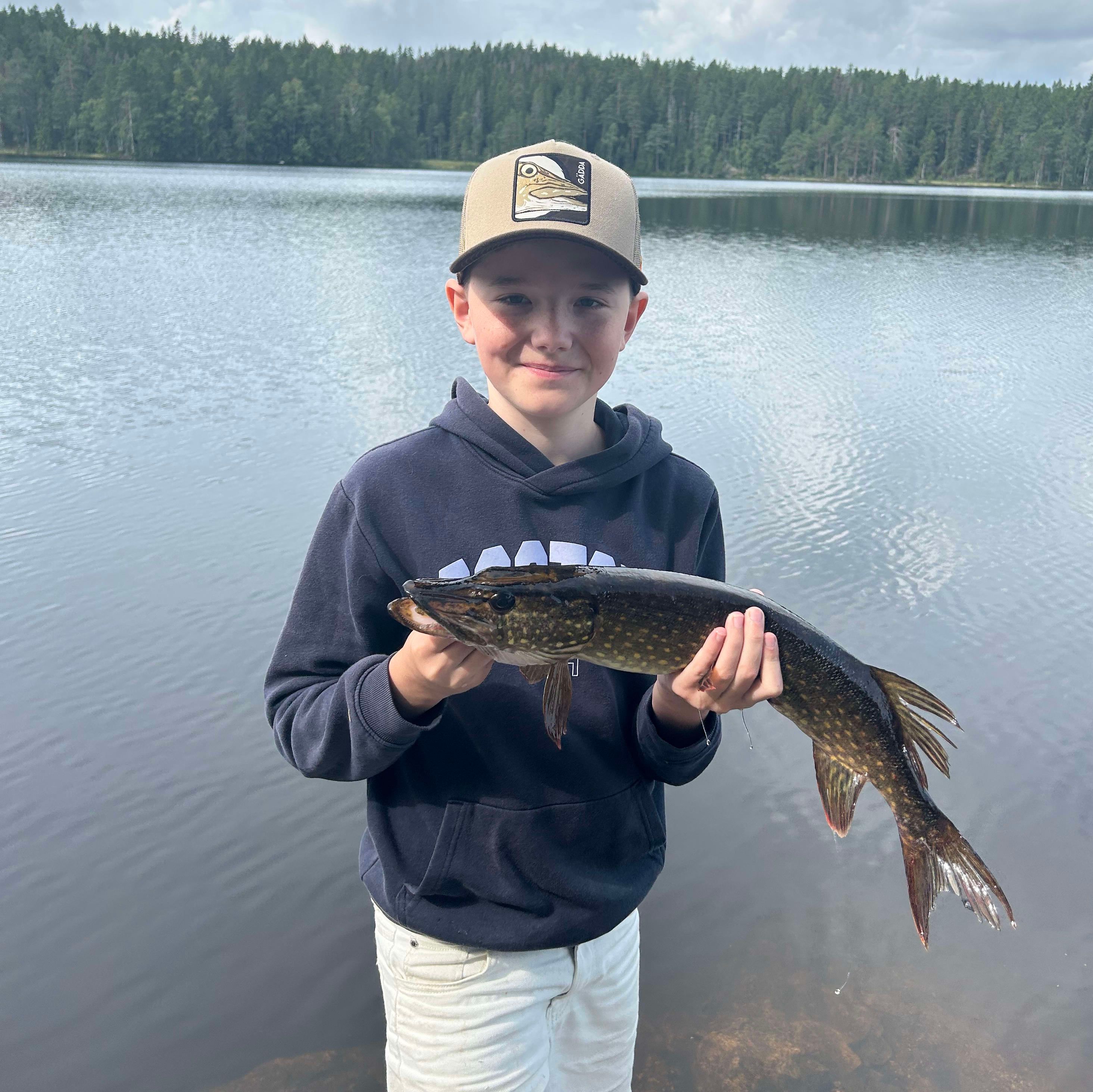 Profilbild för Erik Bergström